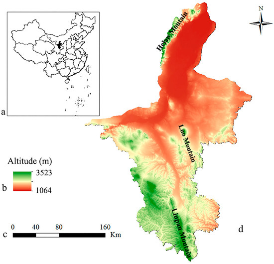 The Diversity of Macrofungi in the Forests of Ningxia