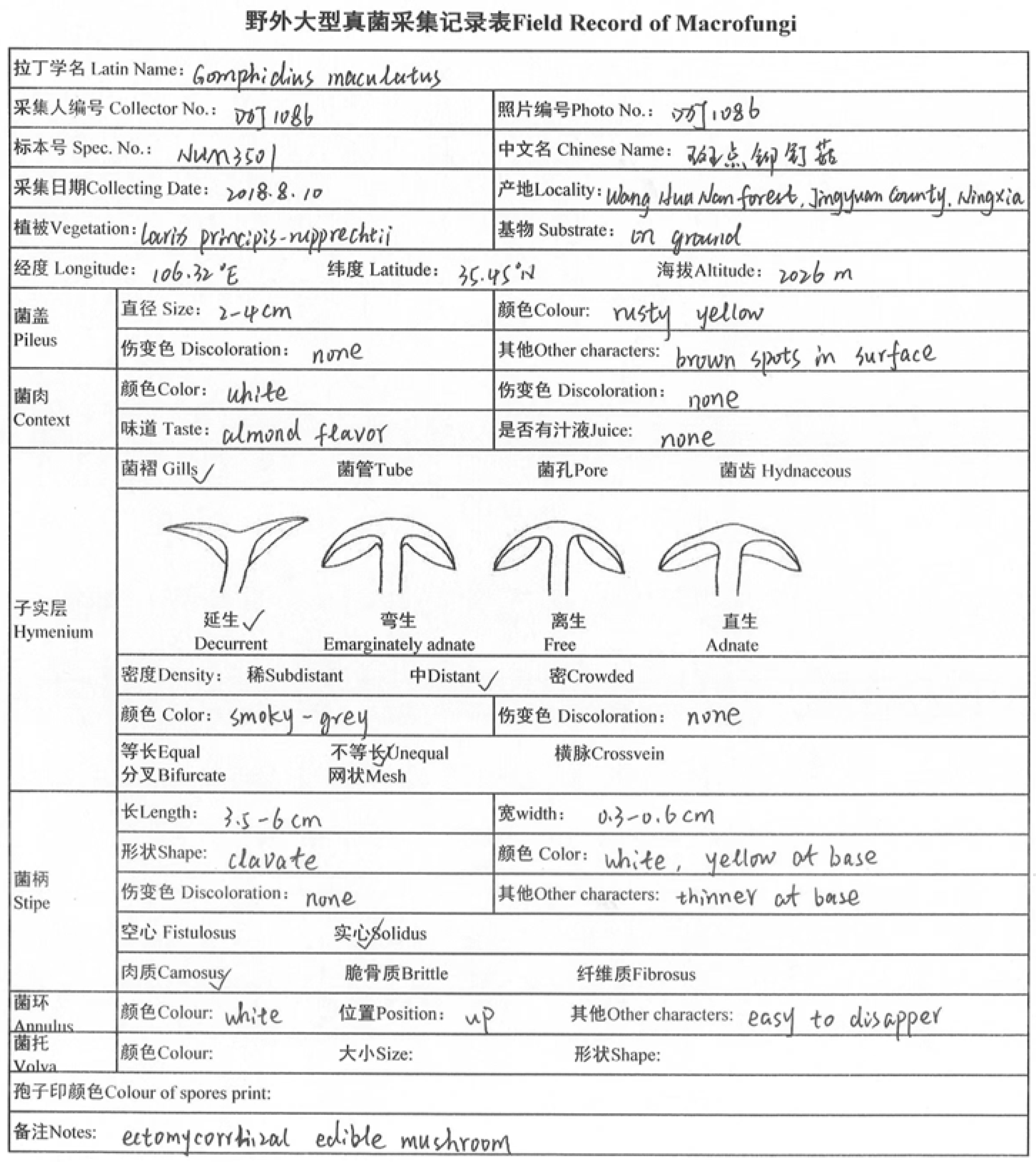 Diversity 16 00725 g002