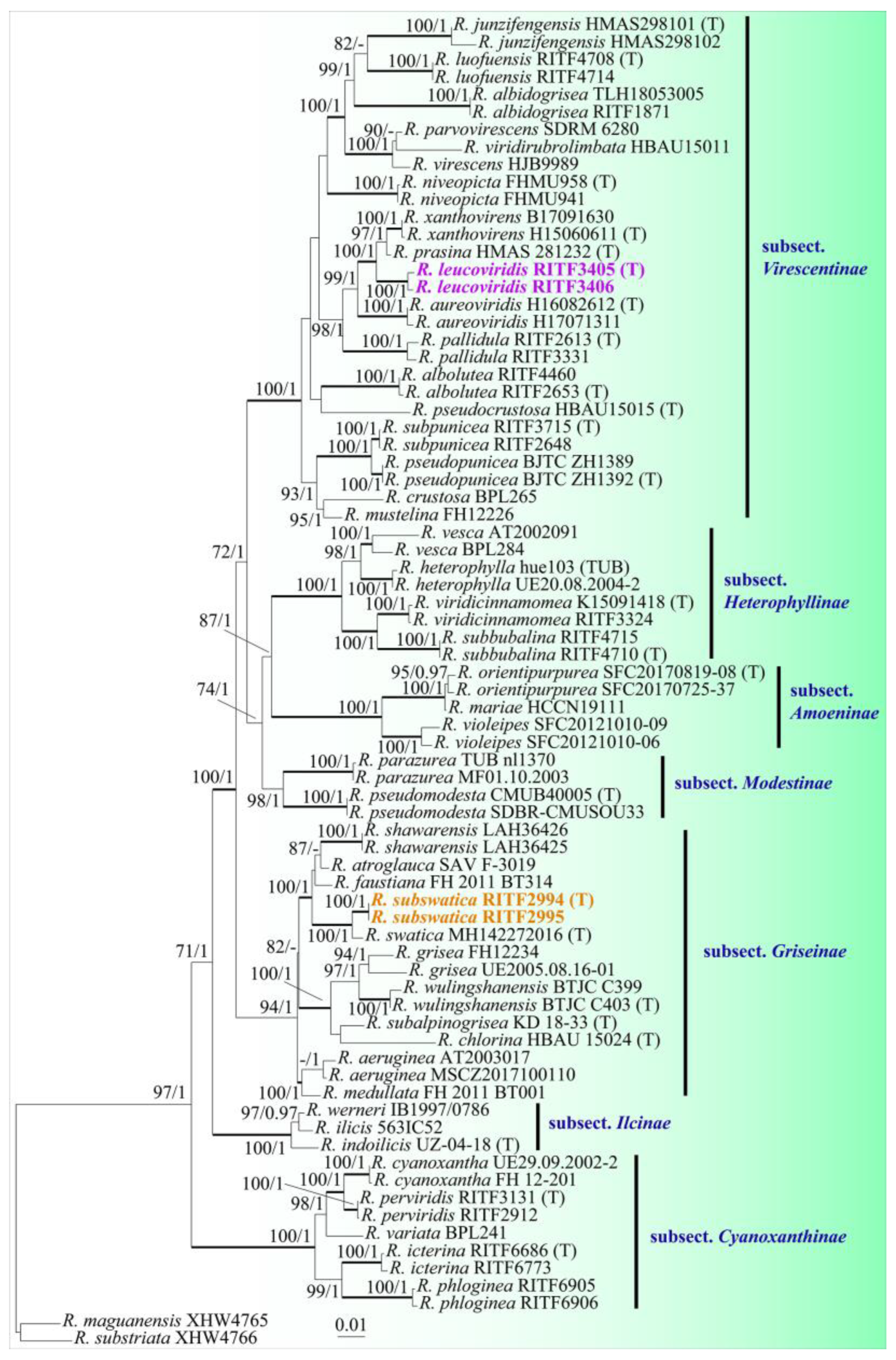 Diversity 16 00727 g001