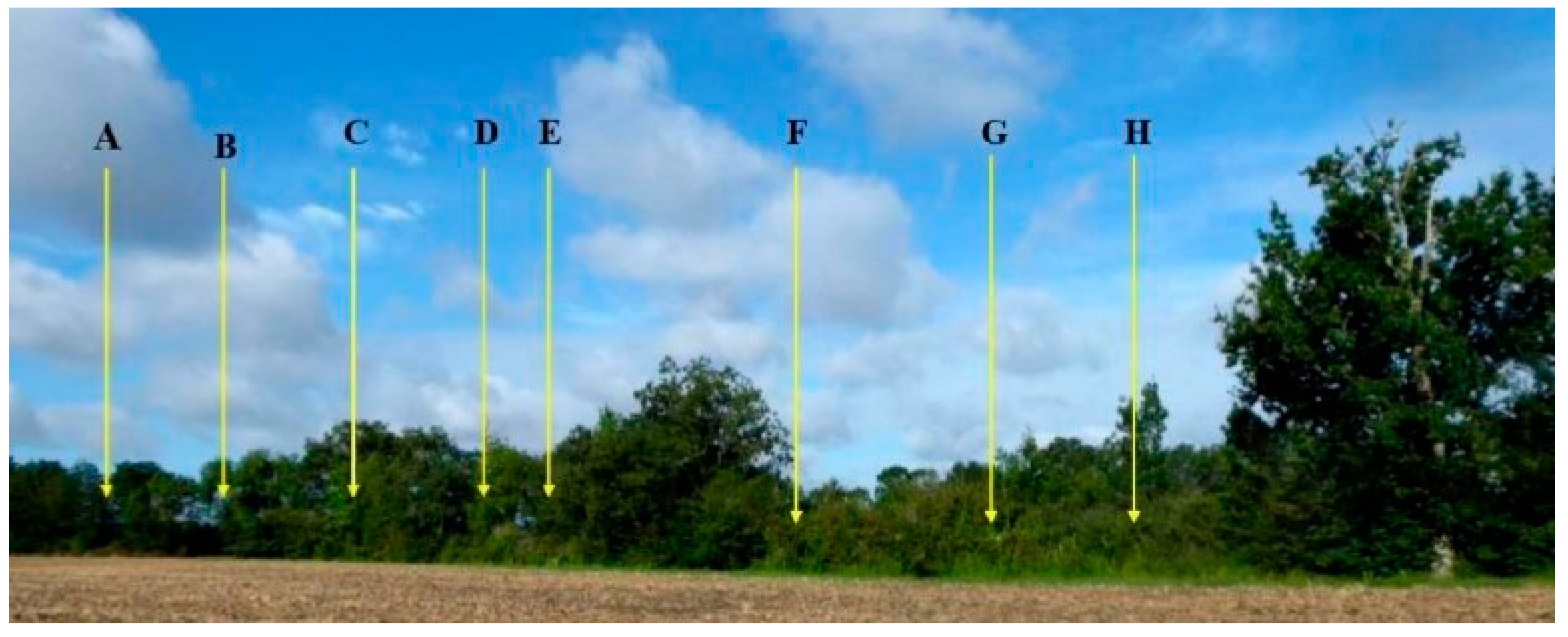 Diversity 16 00728 g001