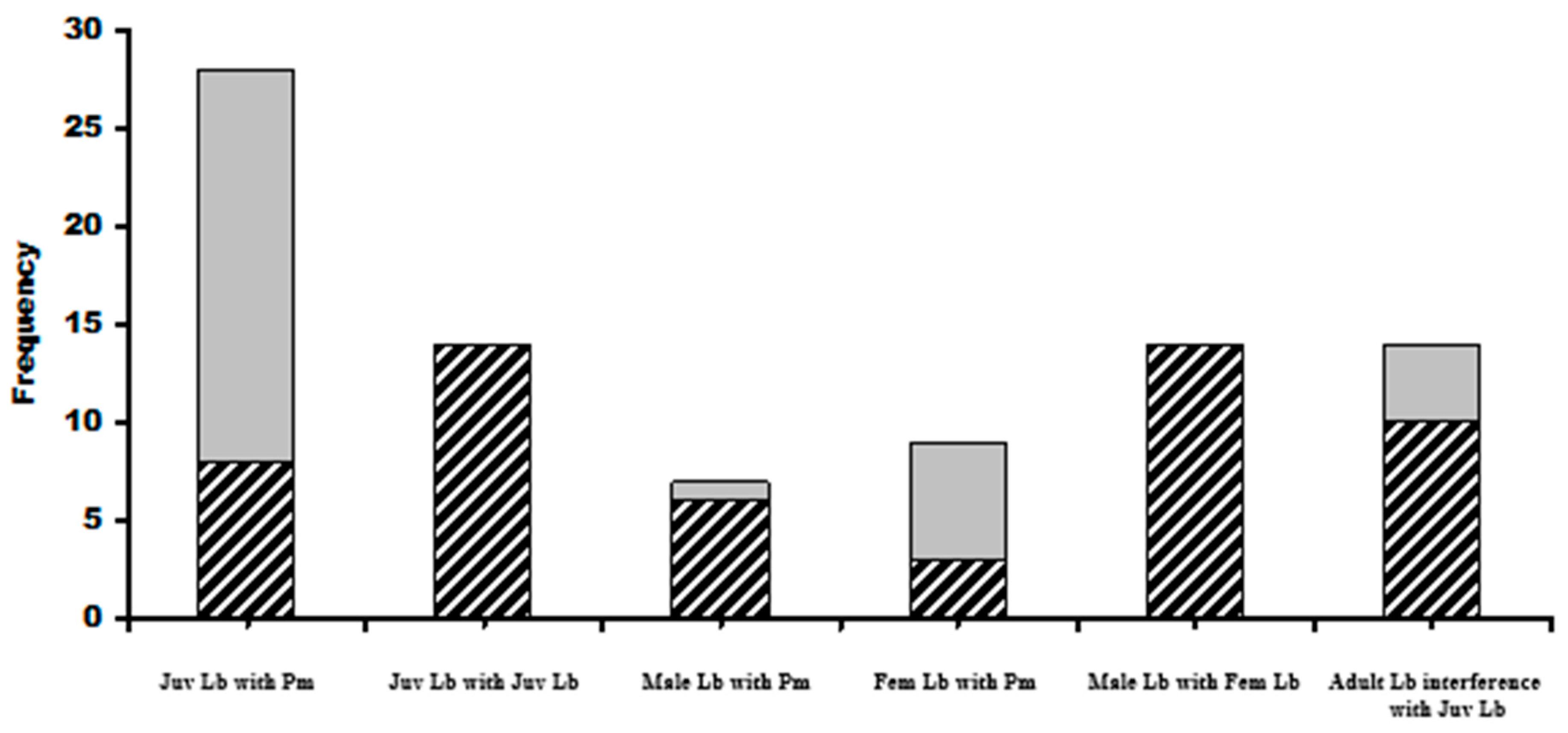 Diversity 16 00728 g004
