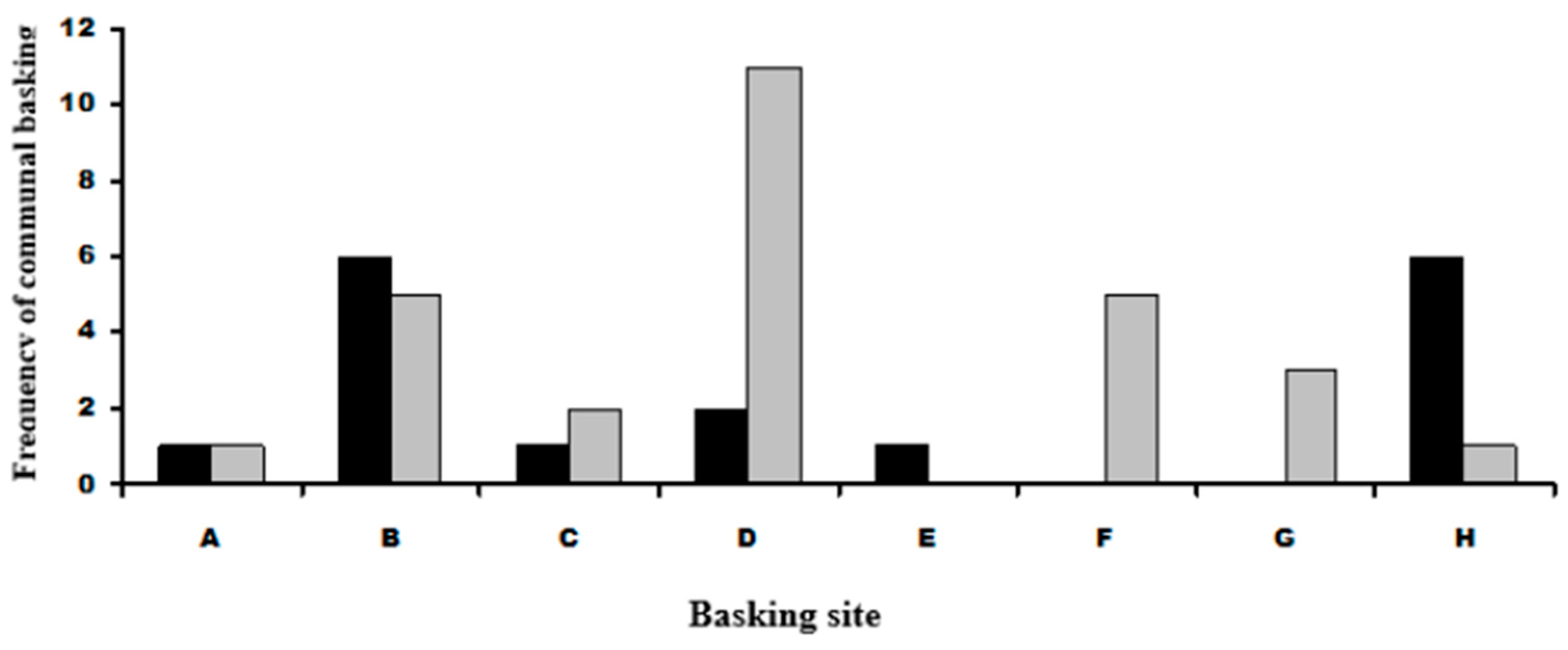 Diversity 16 00728 g005