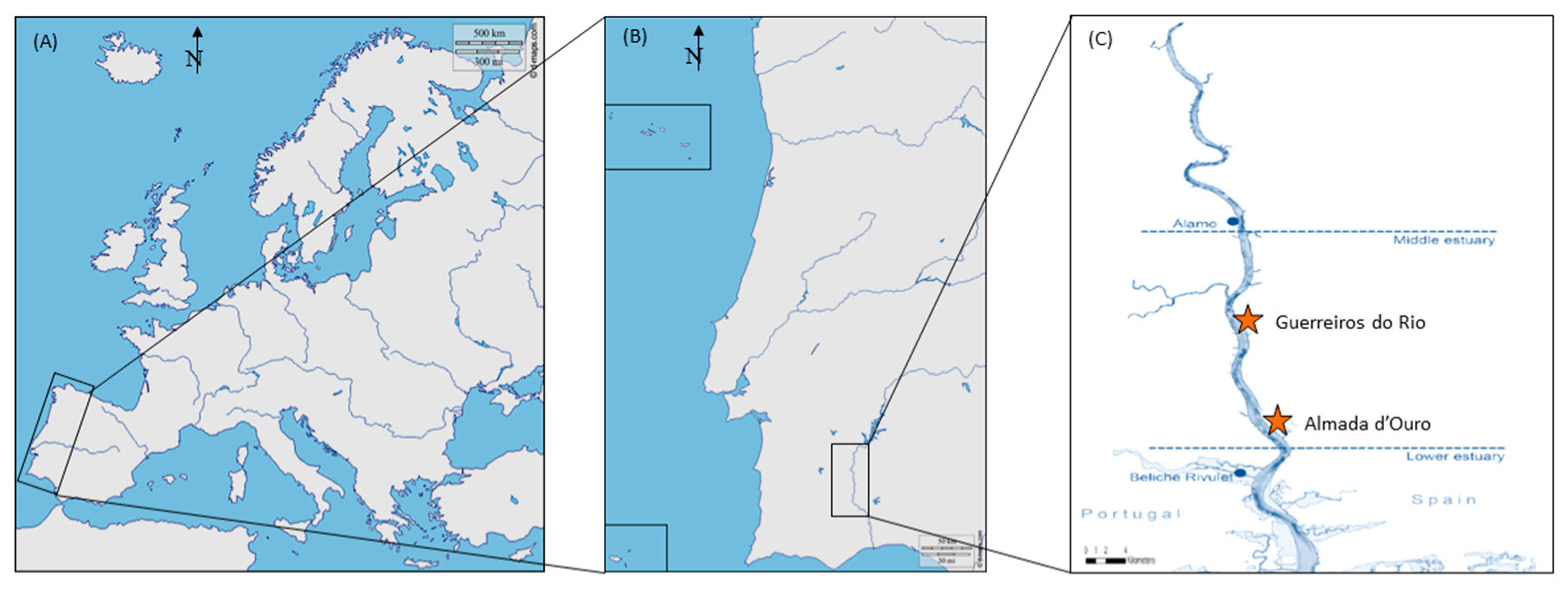 Diversity 16 00729 g001 Diversity 16 00729 g001