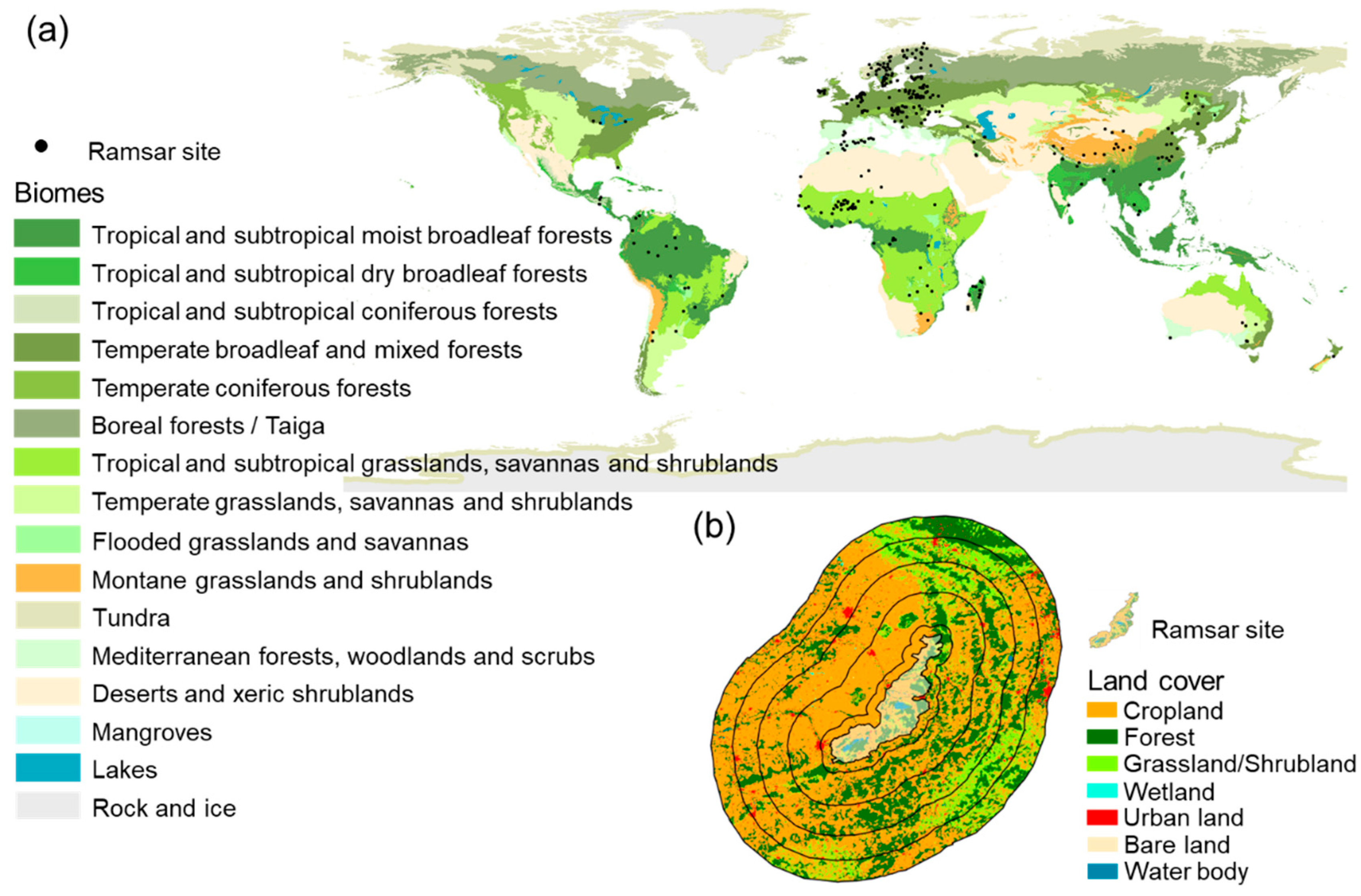 Diversity 16 00738 g001