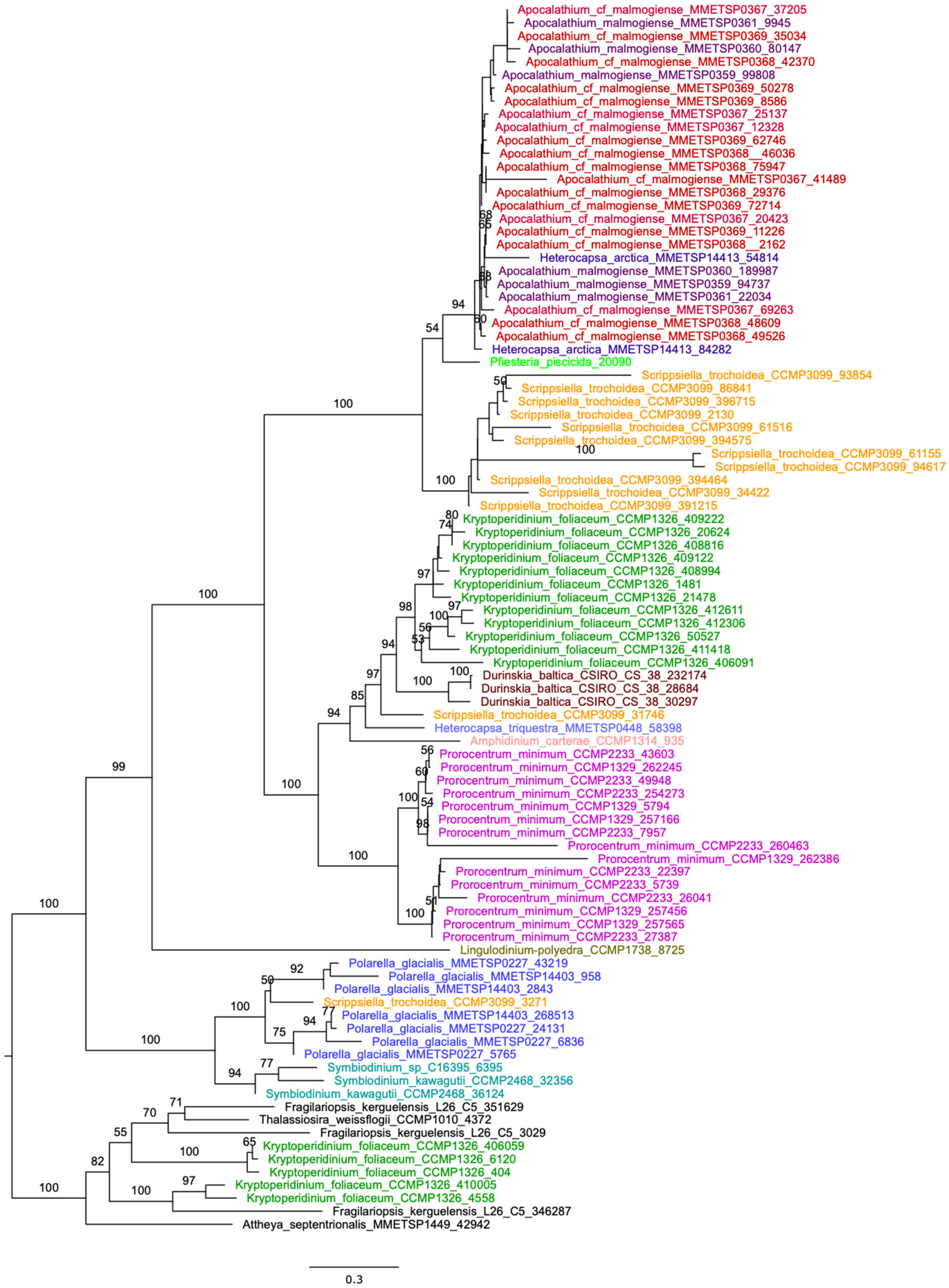 Diversity 16 00739 g002
