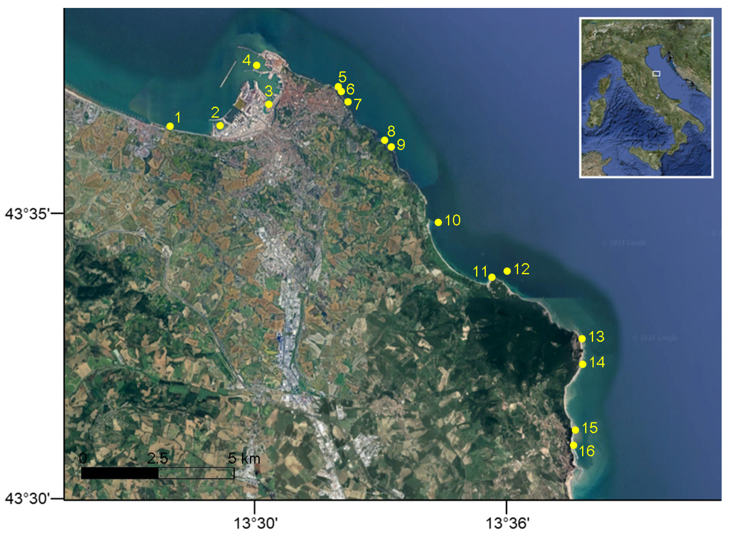 Diversity 16 00741 g001