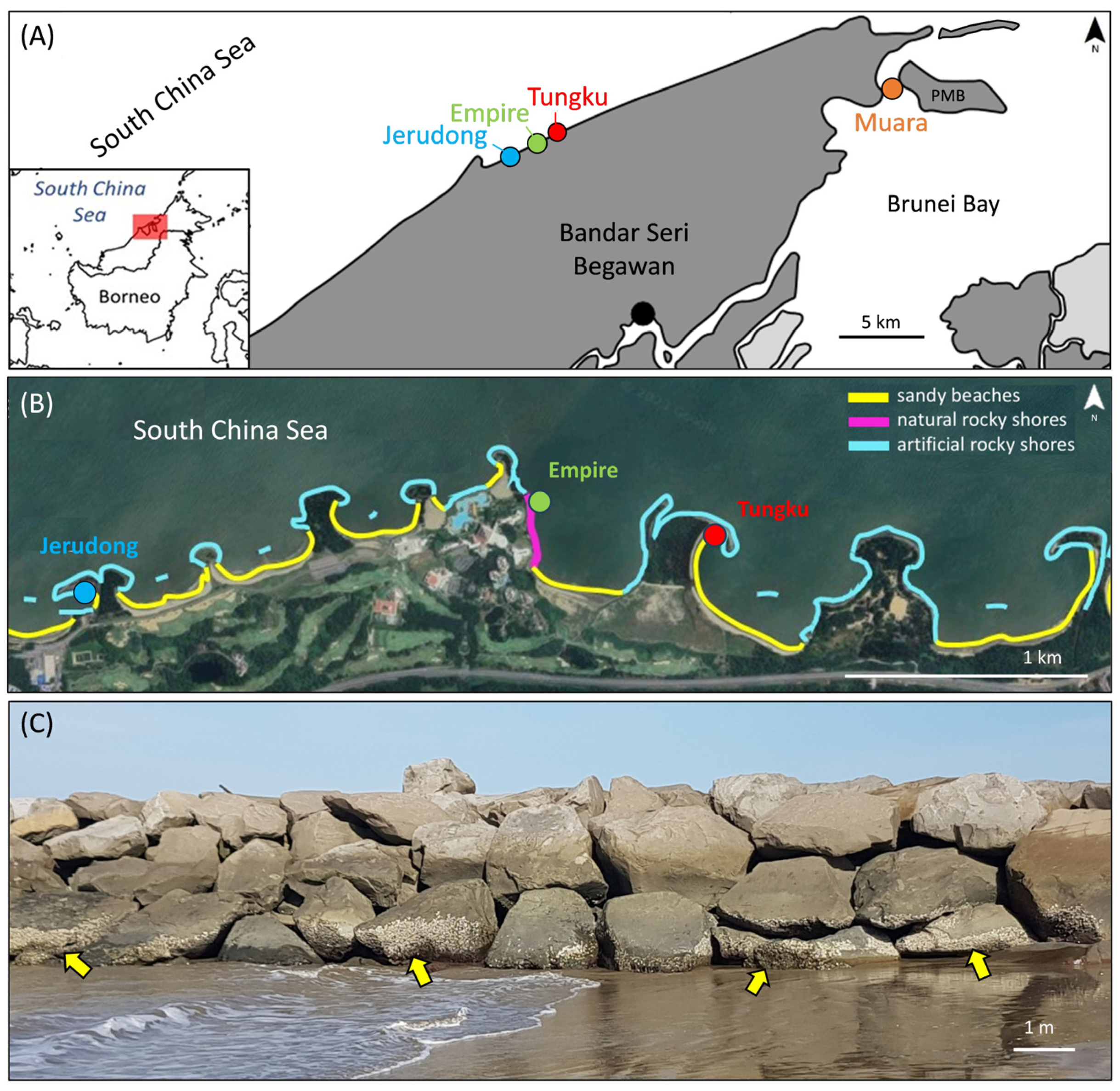 Diversity 16 00742 g002 Diversity 16 00742 g002