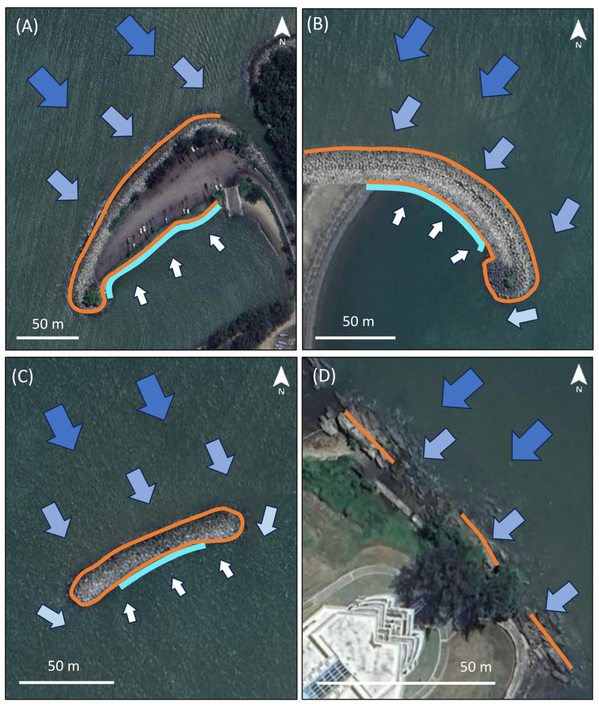 Diversity 16 00742 g003 Diversity 16 00742 g003