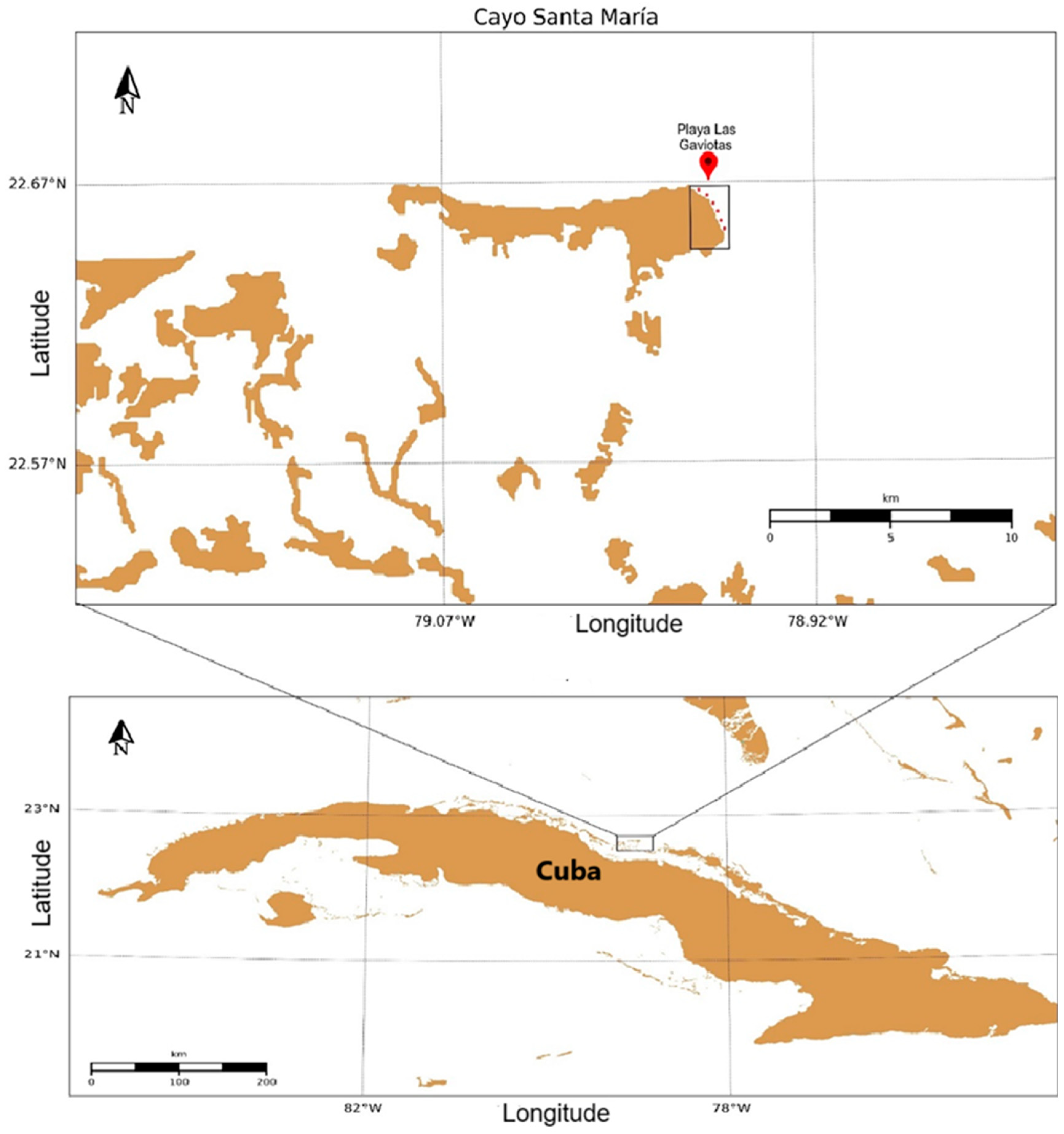 Diversity 16 00747 g001