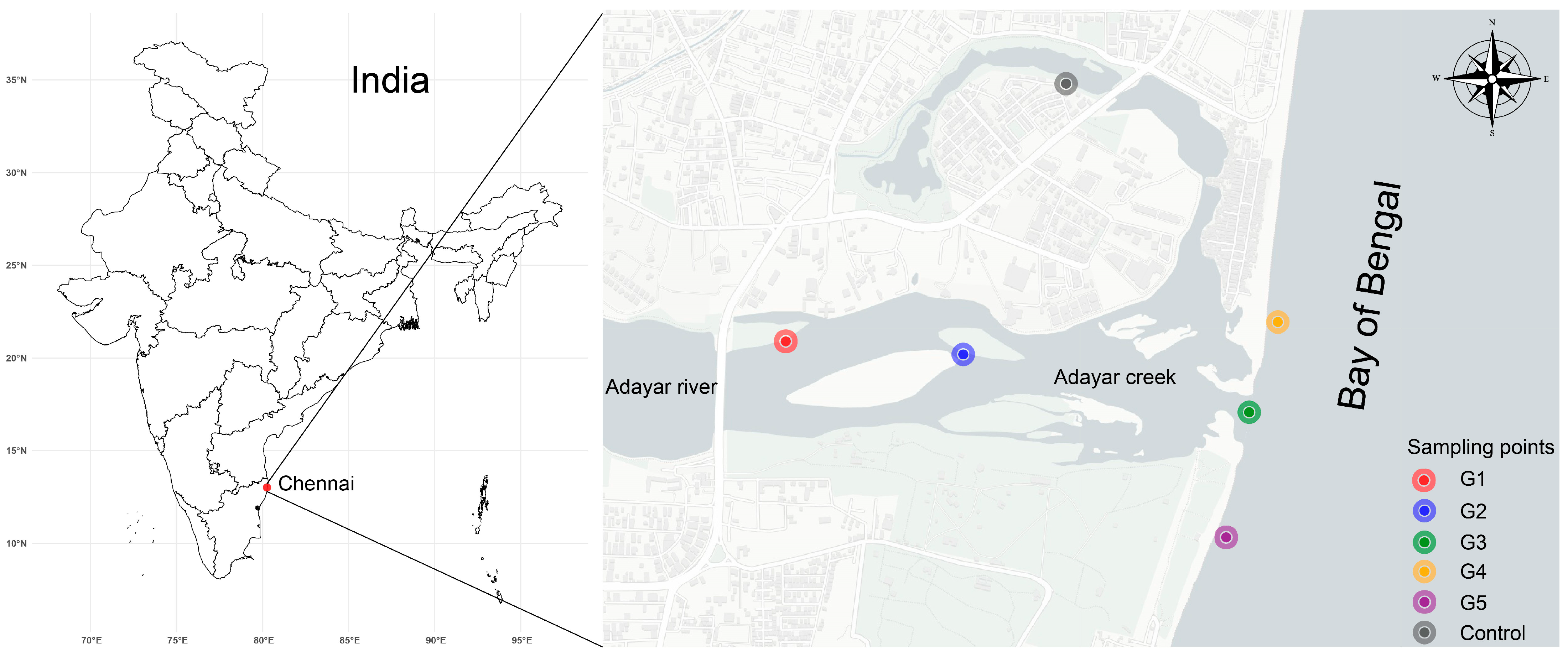 Diversity 16 00749 g001