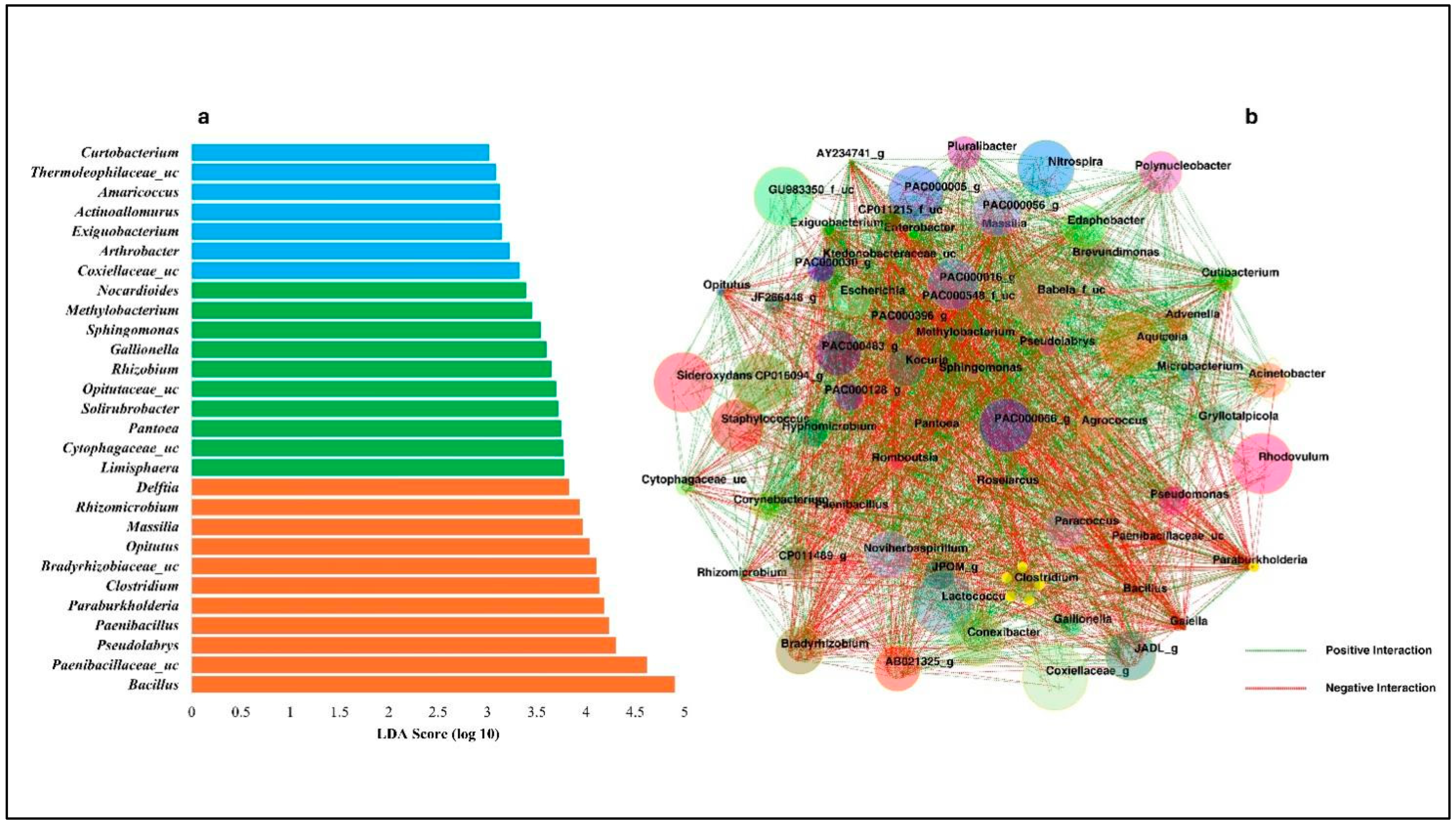Diversity 16 00749 g007