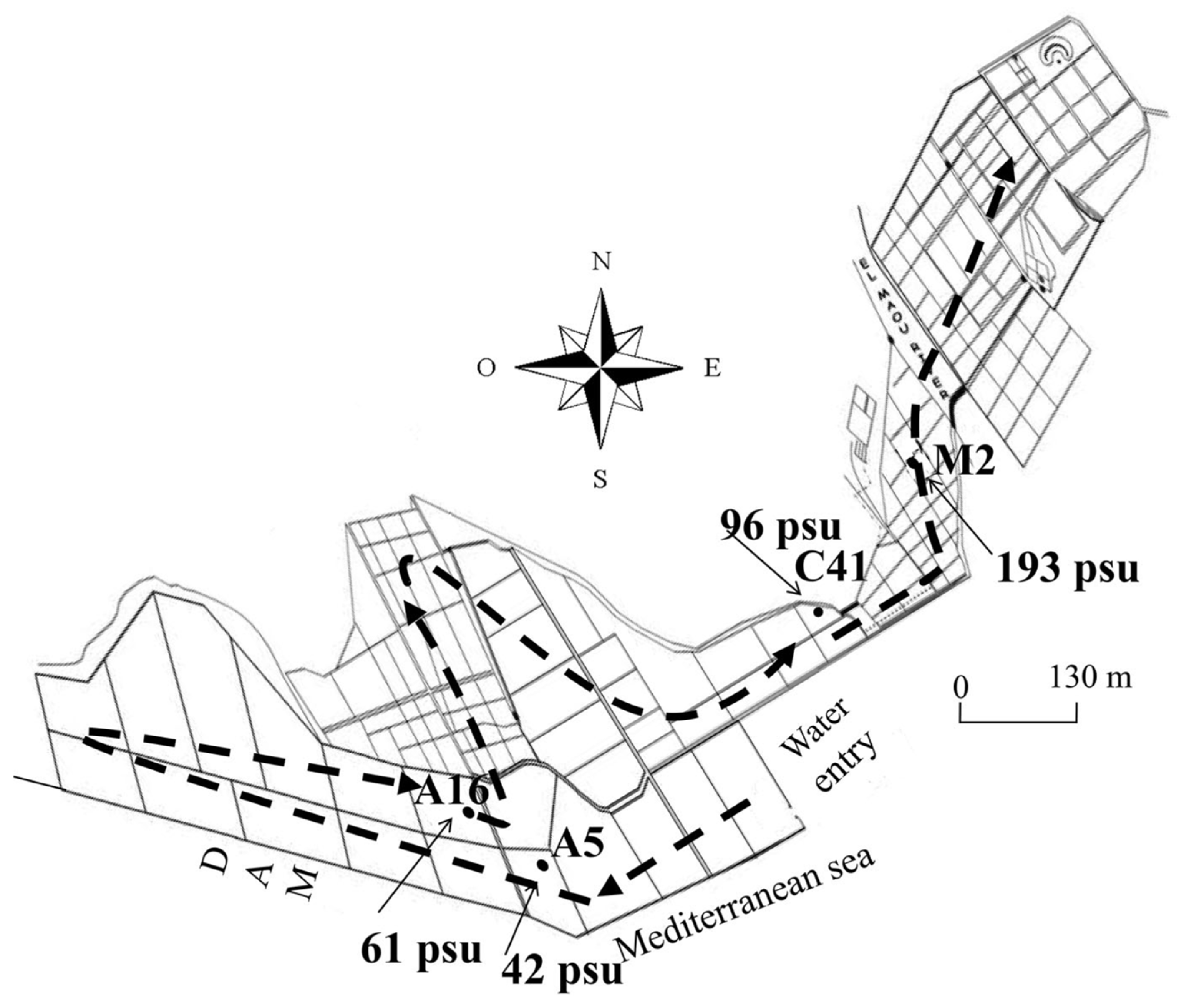 Diversity 16 00751 g001 Diversity 16 00751 g001