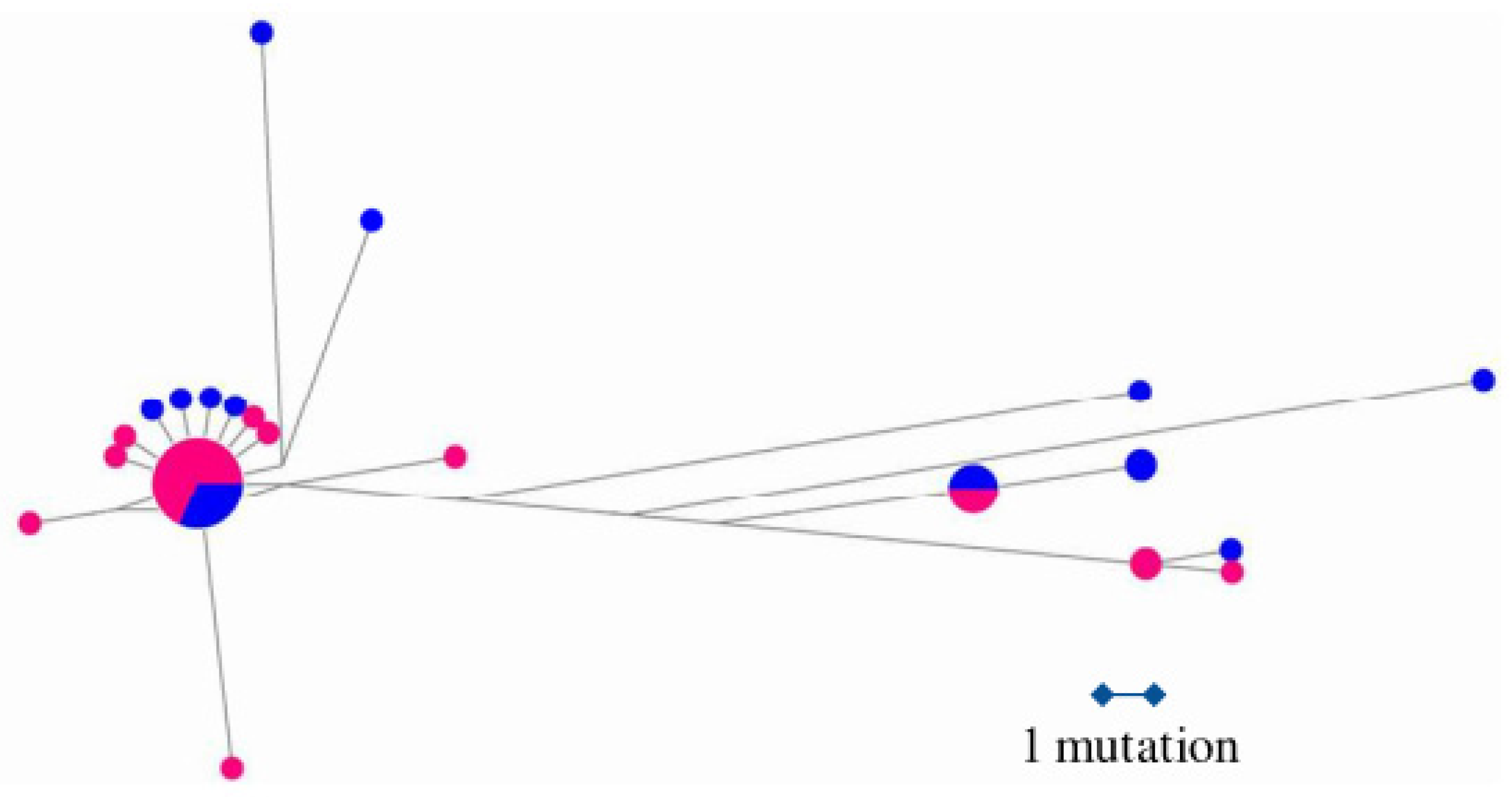 Diversity 16 00751 g003 Diversity 16 00751 g003