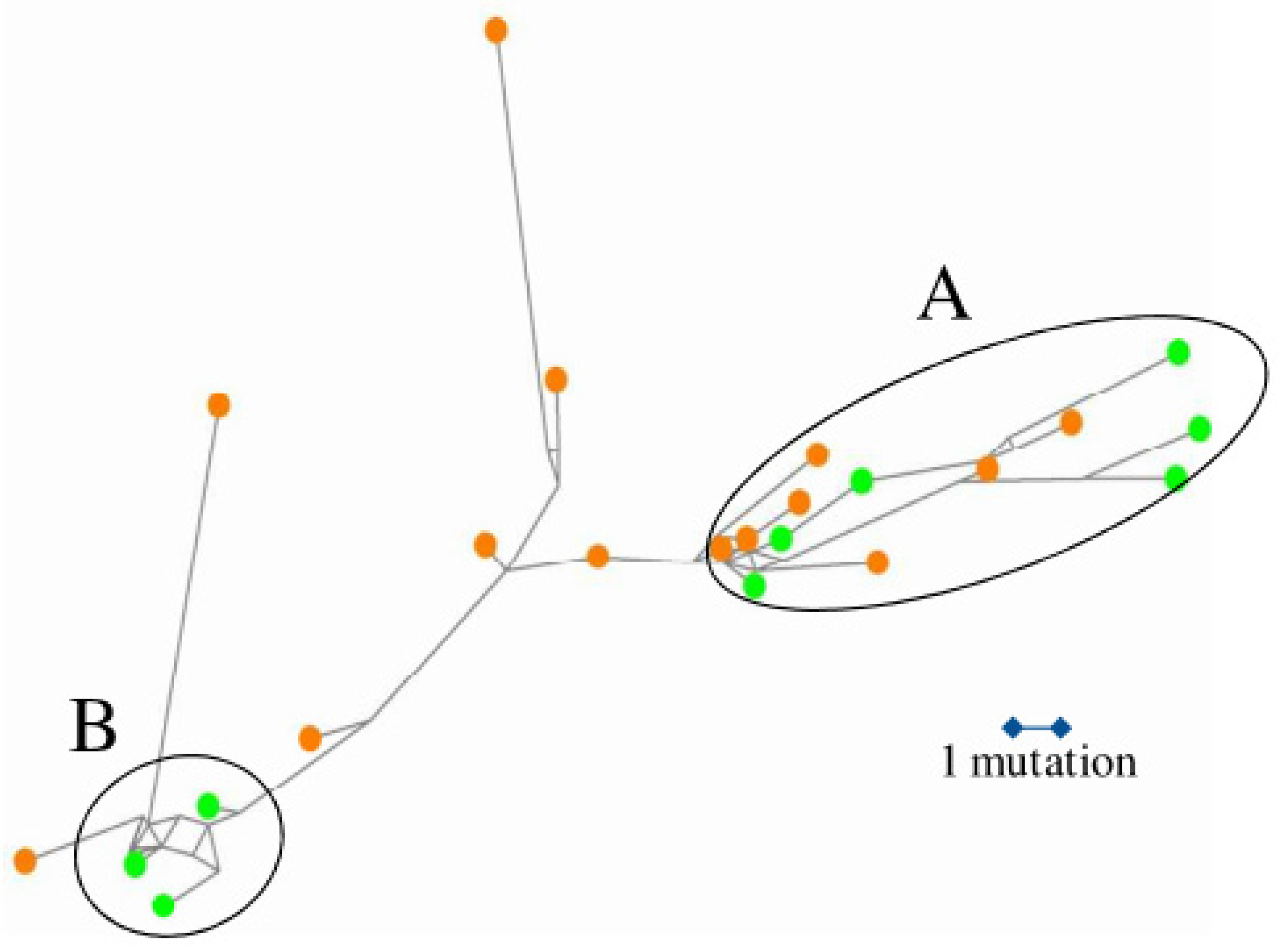 Diversity 16 00751 g005 Diversity 16 00751 g005