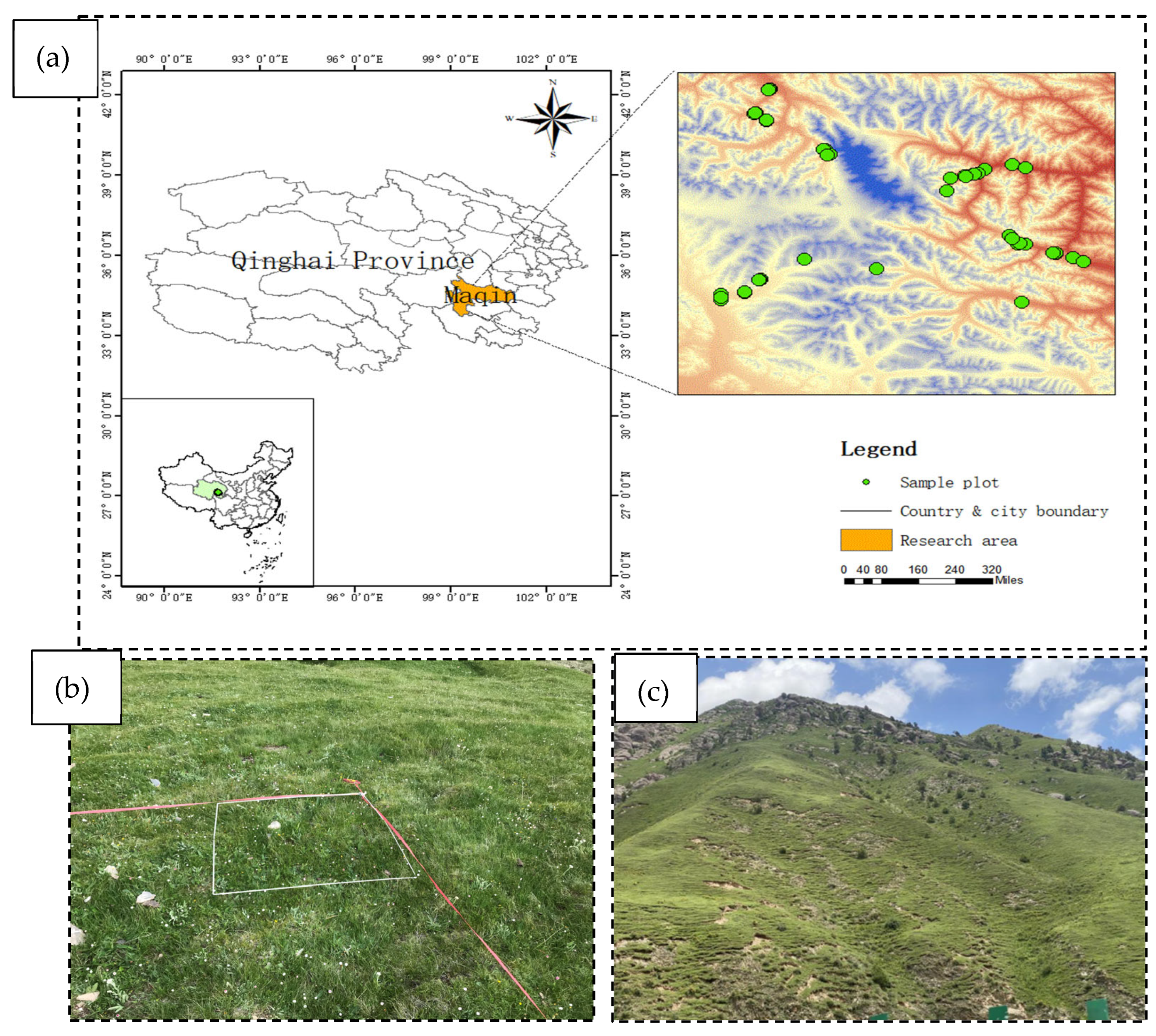 Diversity 16 00755 g001