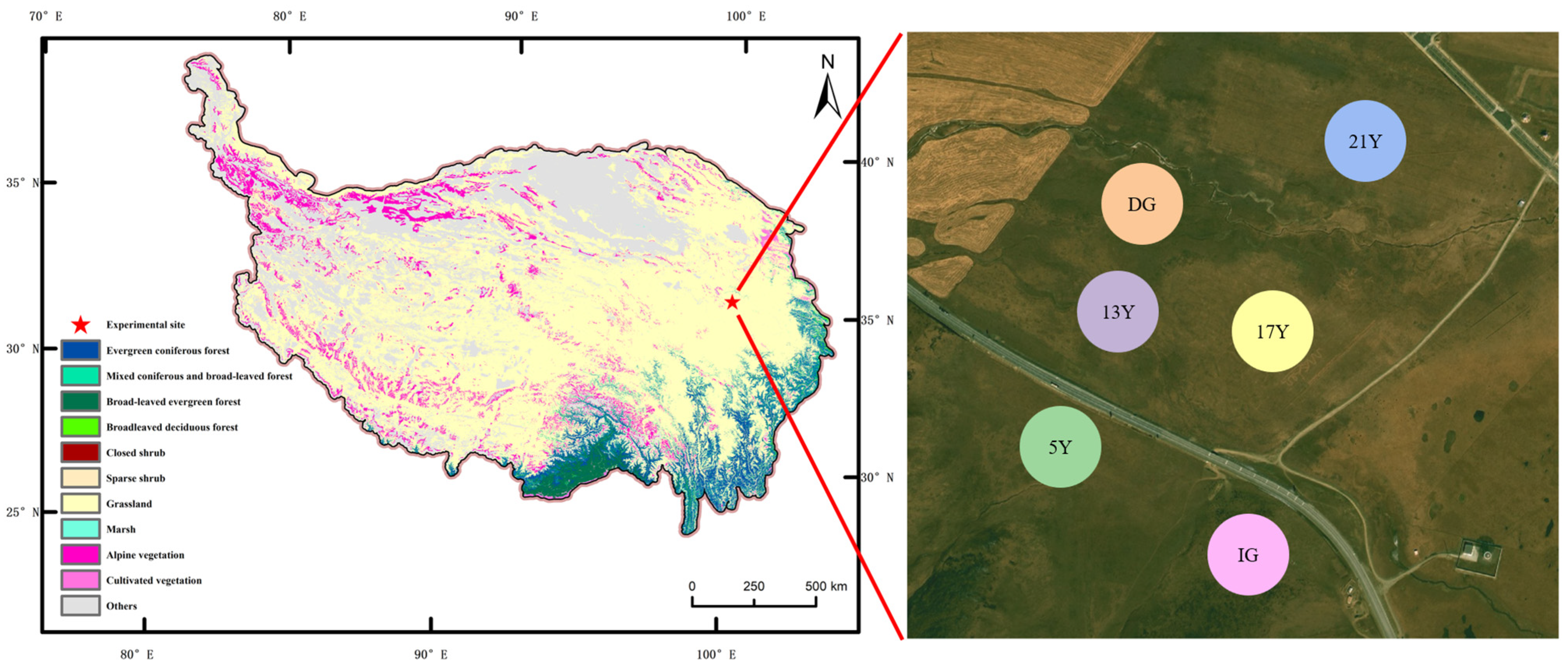 Diversity 16 00758 g001