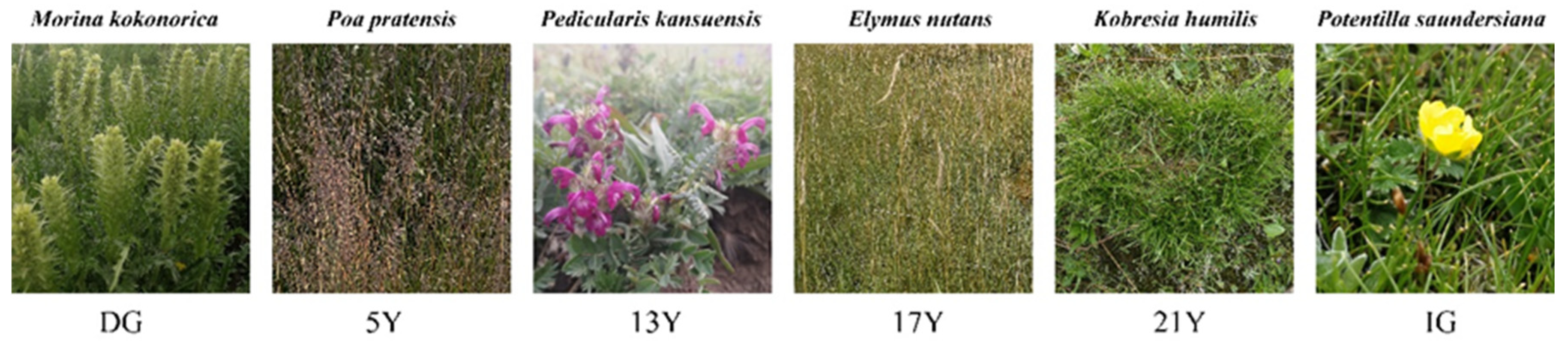 Diversity 16 00758 g005