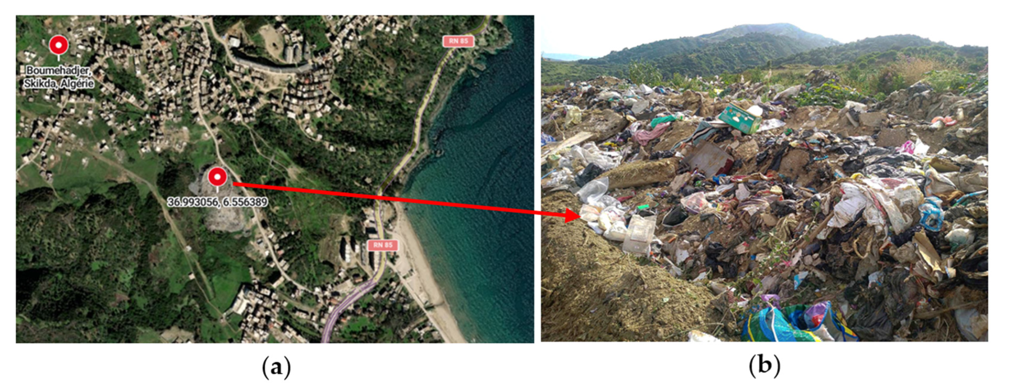 Diversity 16 00759 g001