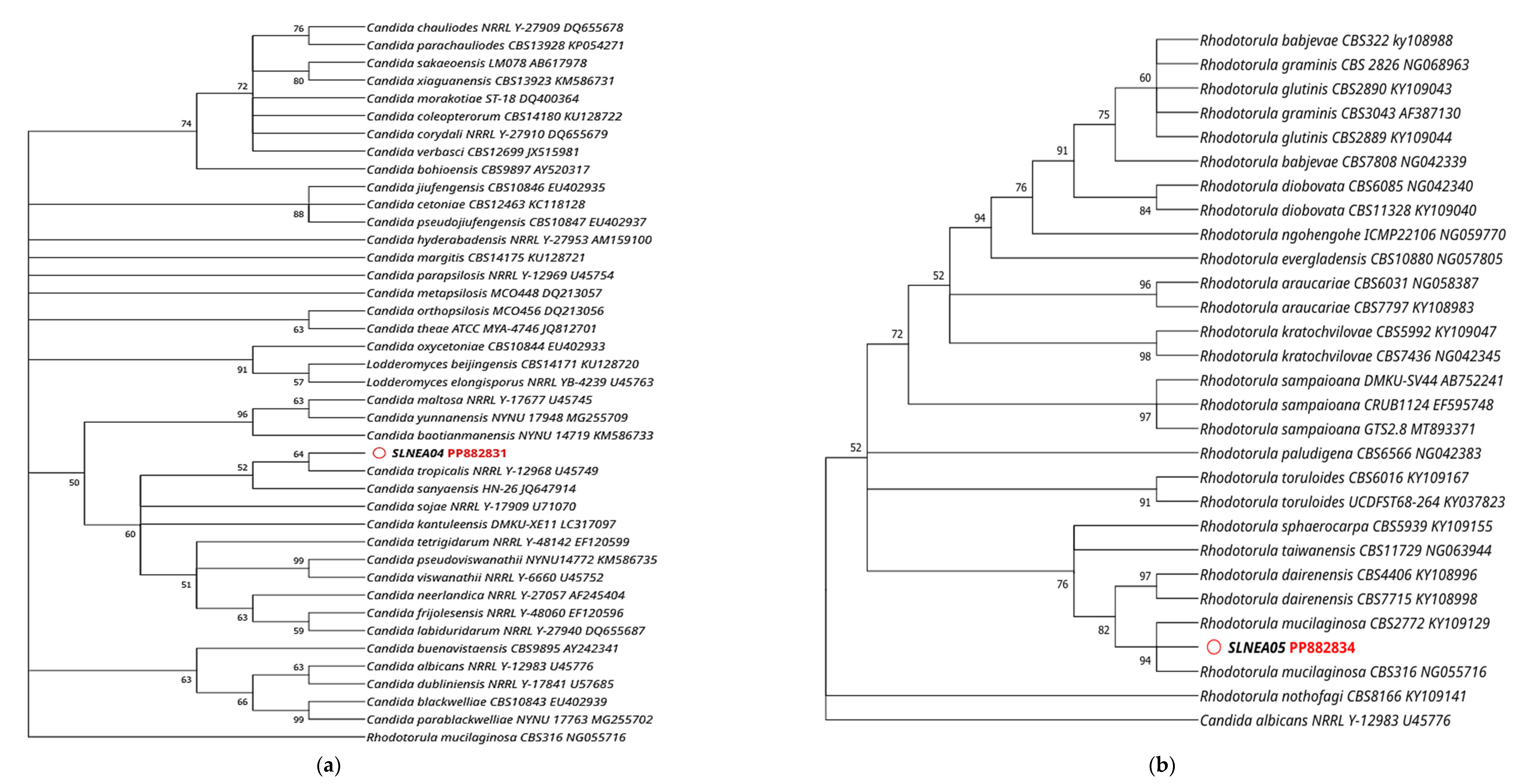 Diversity 16 00759 g002