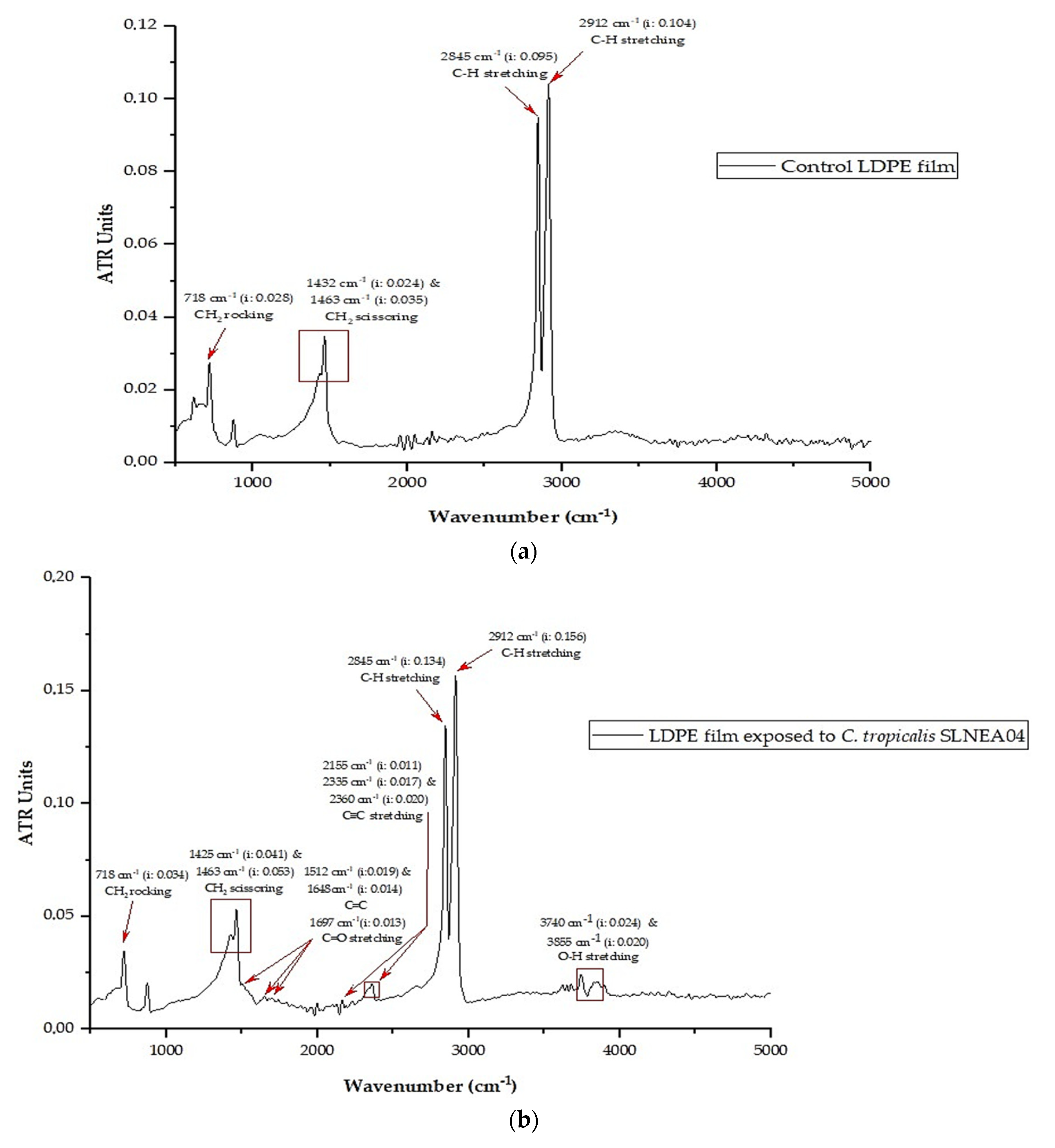 Diversity 16 00759 g005a