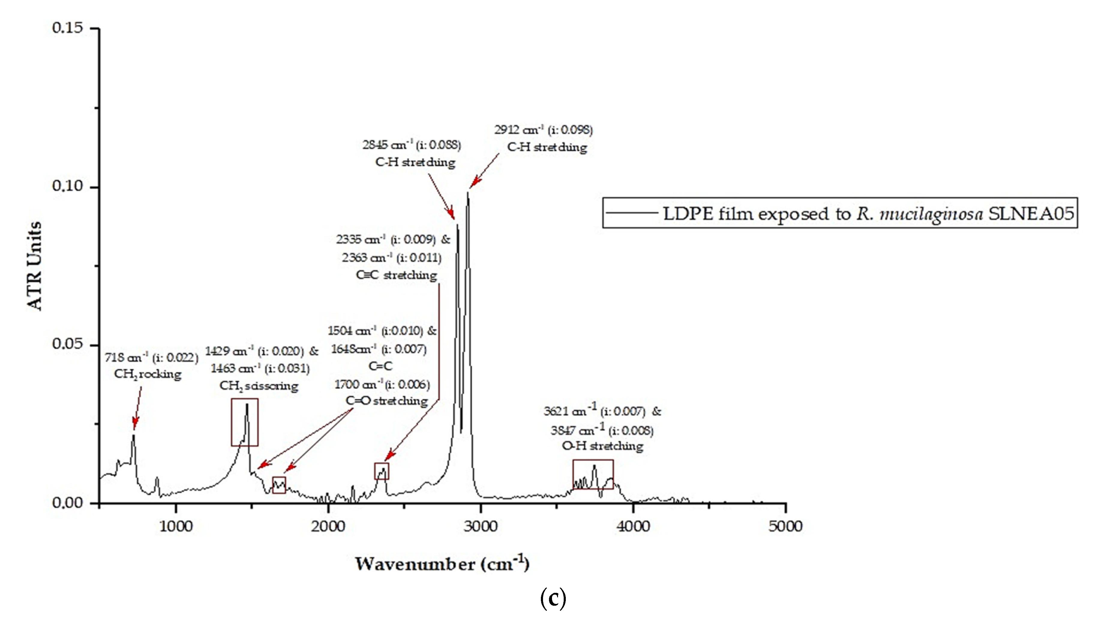 Diversity 16 00759 g005b