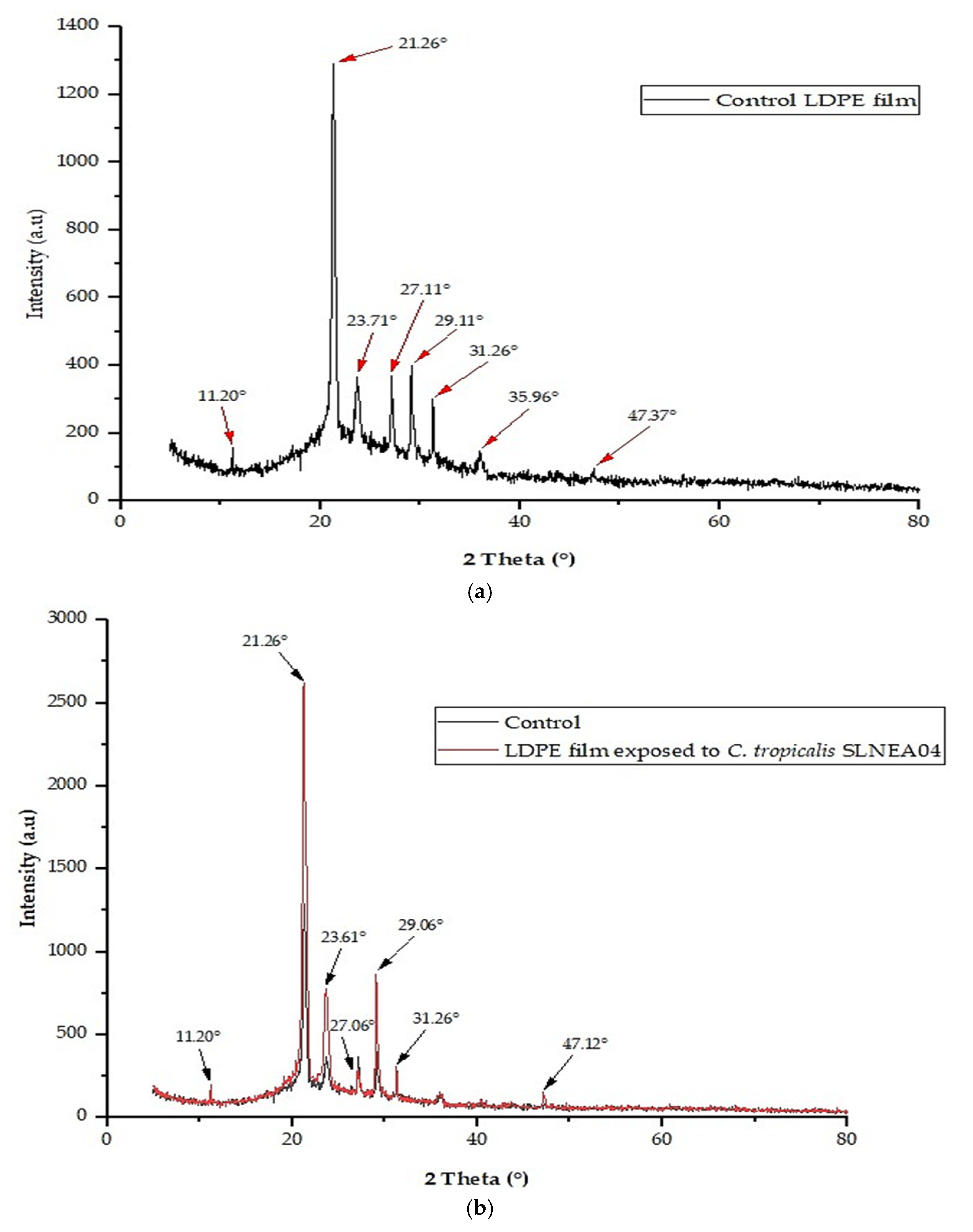 Diversity 16 00759 g006a