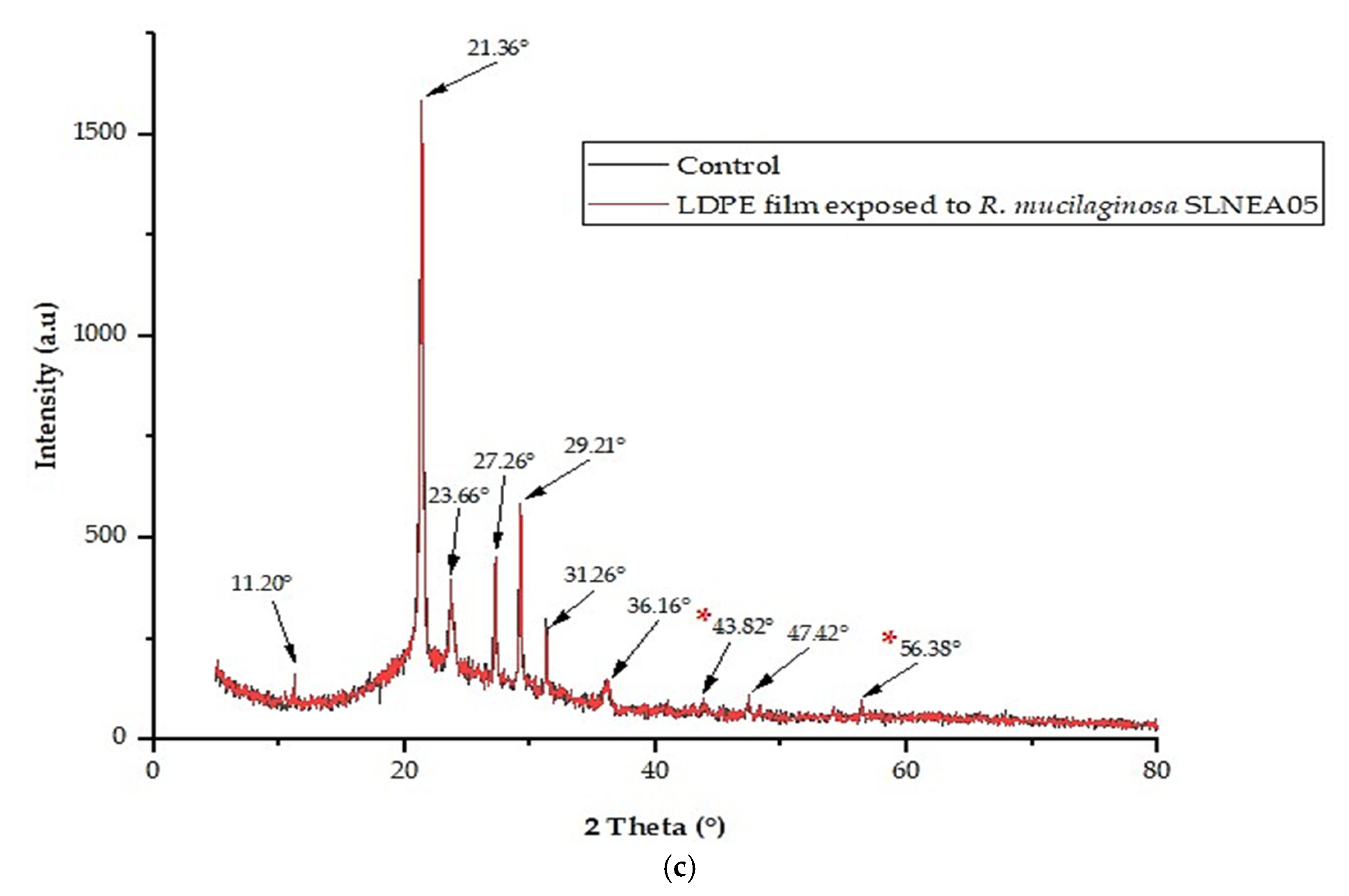Diversity 16 00759 g006b