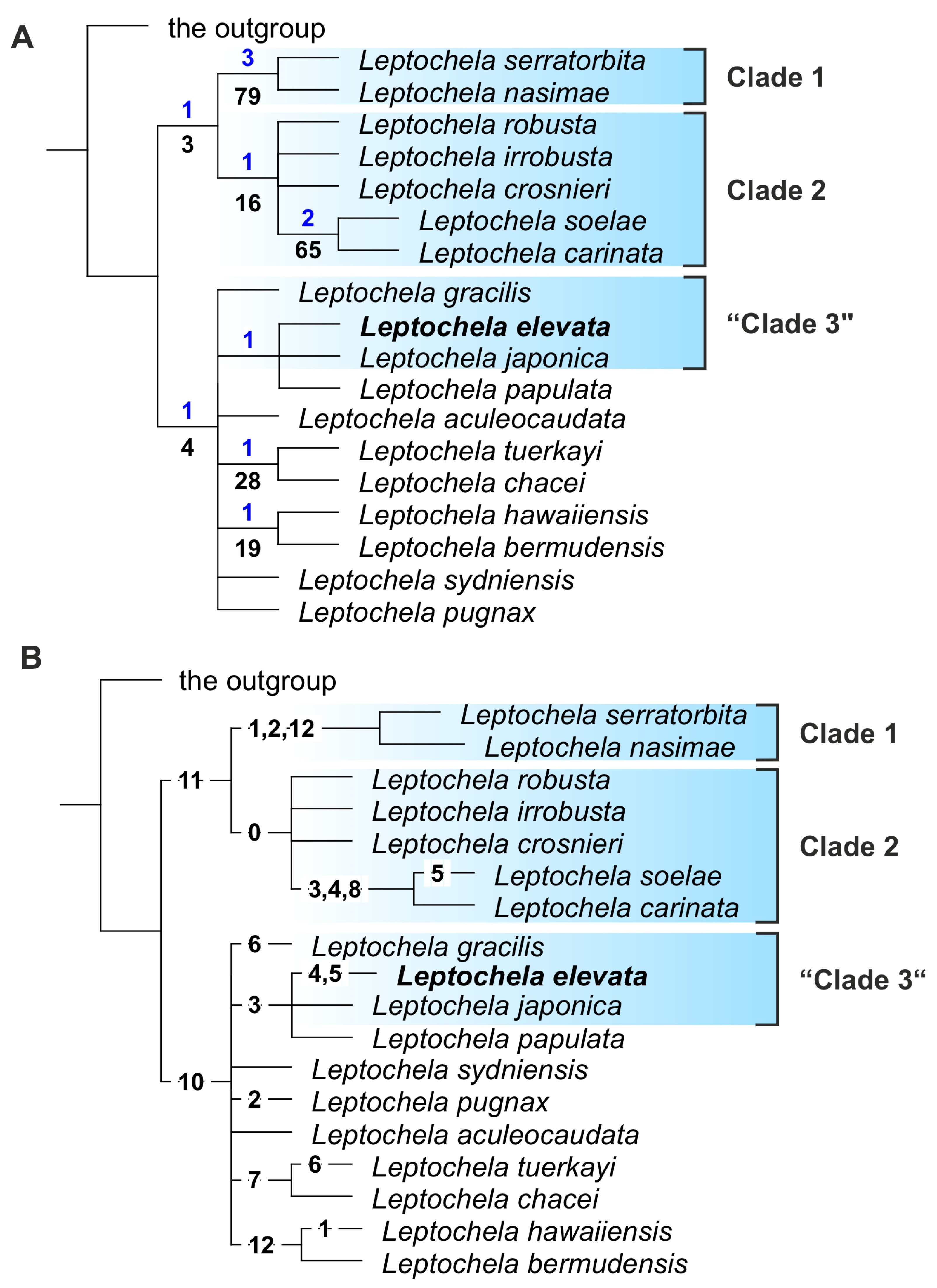 Diversity 16 00760 g005
