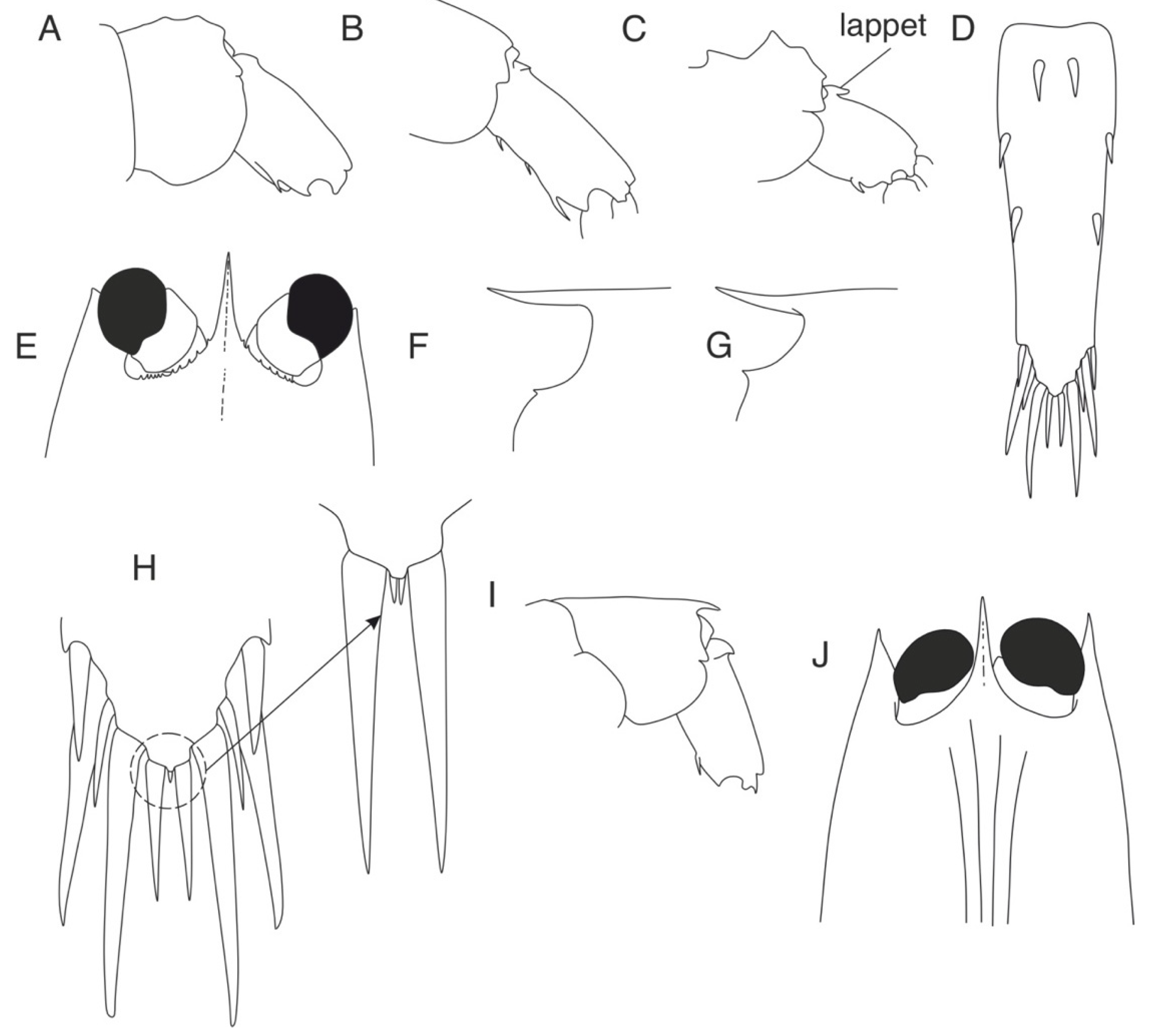 Diversity 16 00760 g008