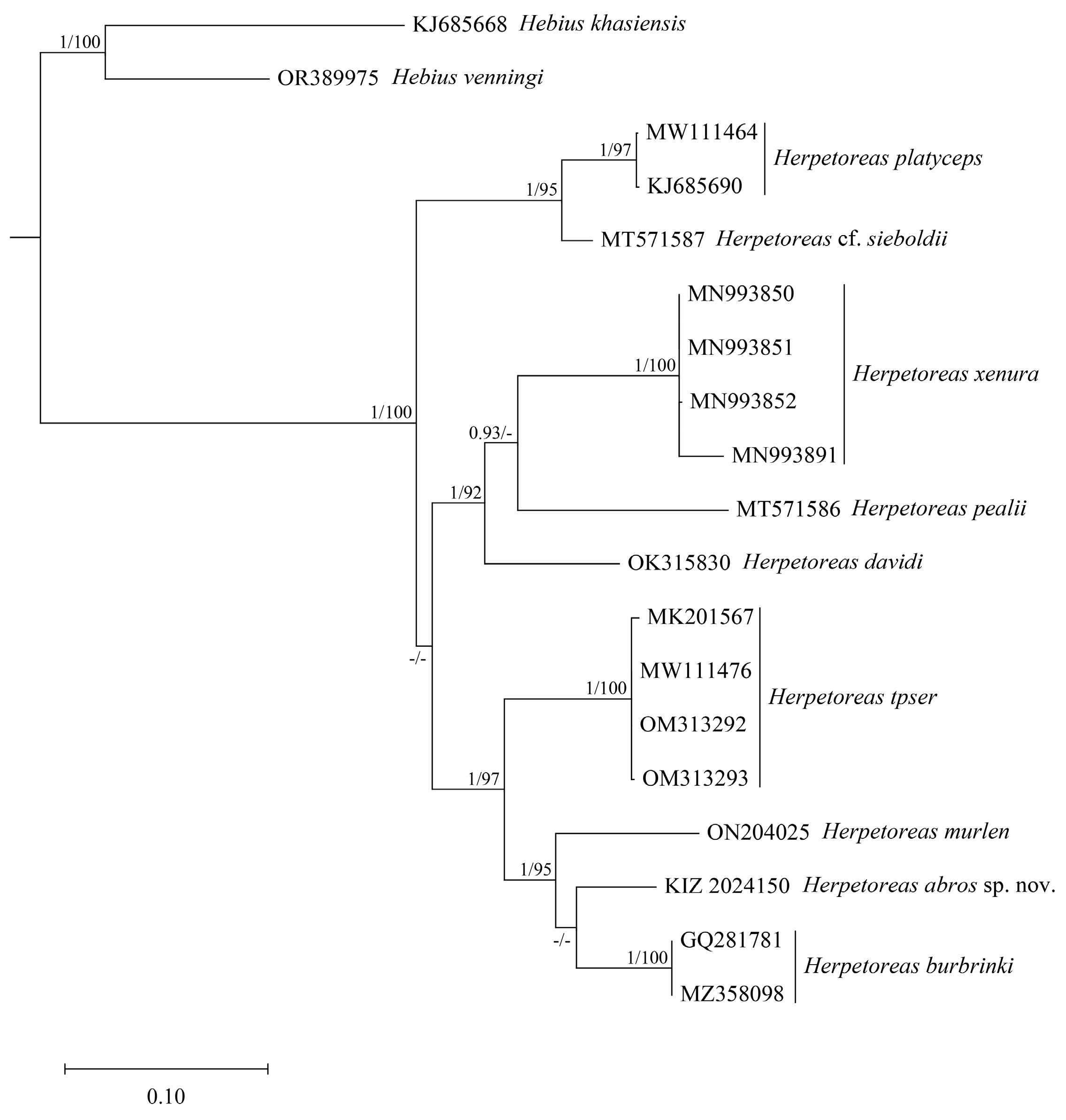 Diversity 16 00768 g001
