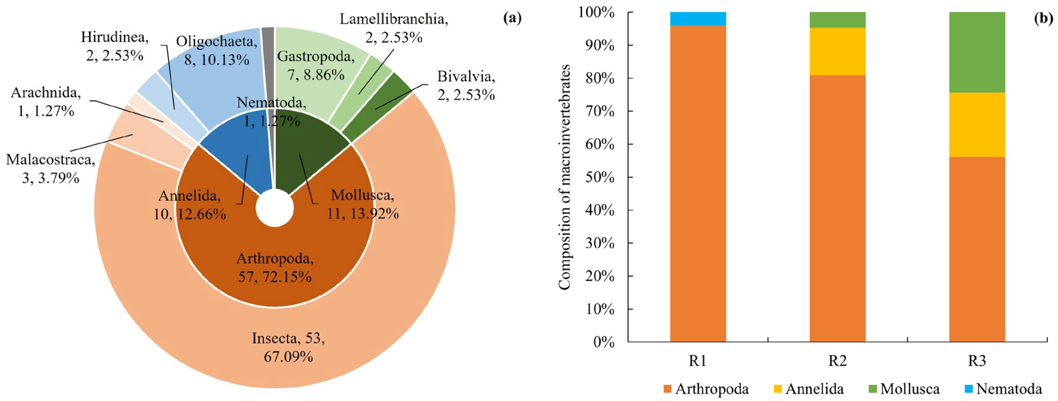 Diversity 16 00772 g002