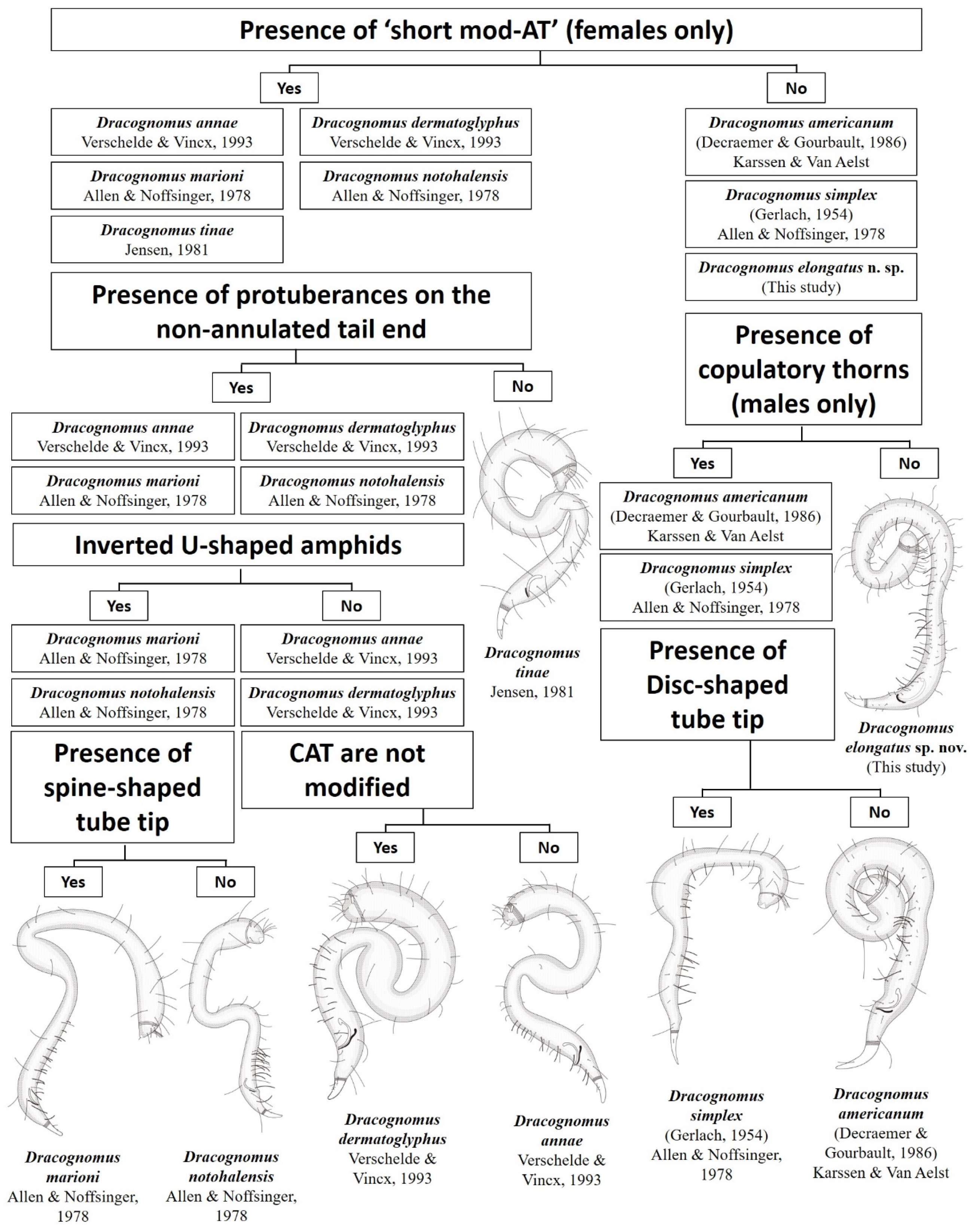 Diversity 16 00776 g004