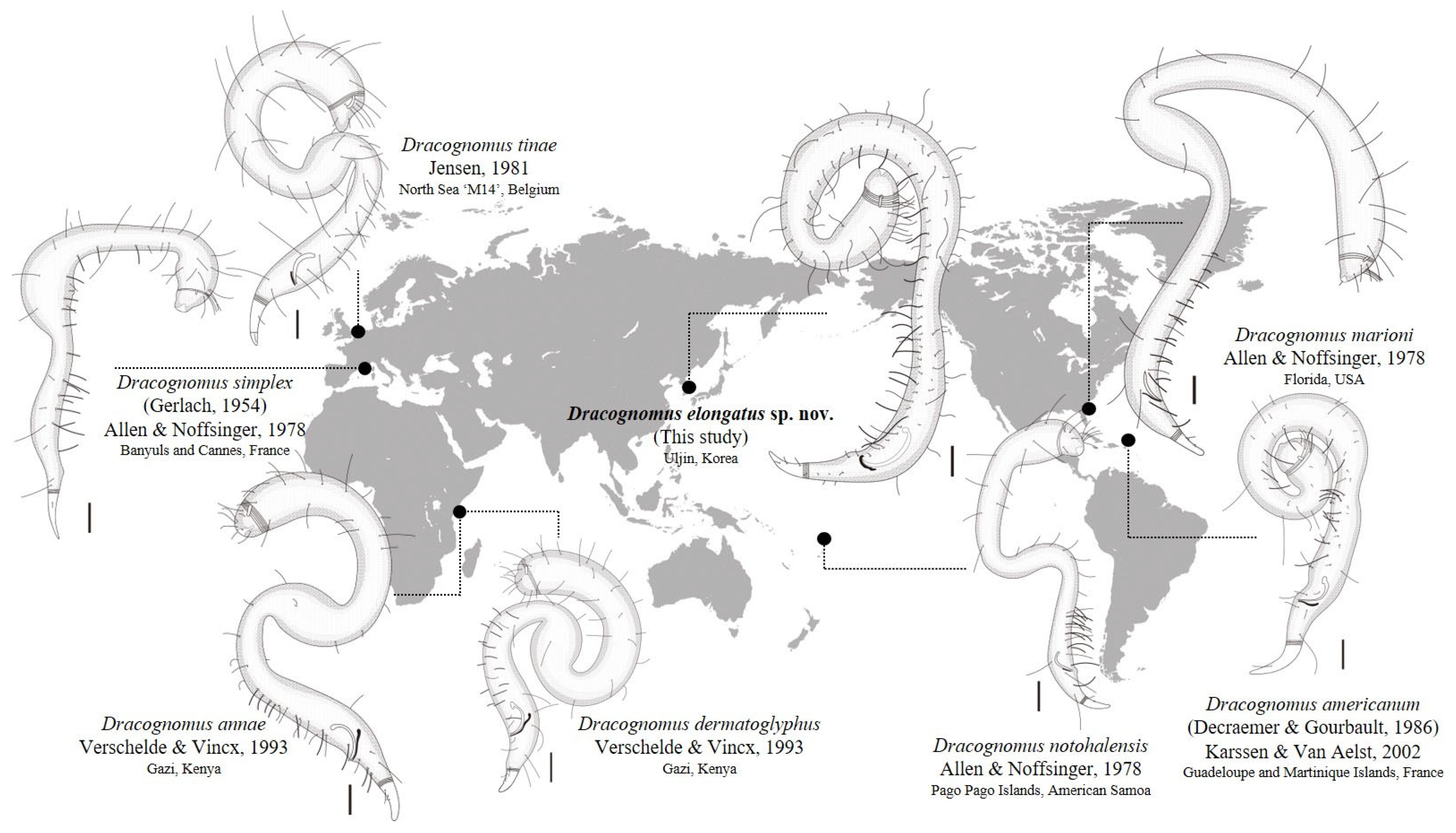 Diversity 16 00776 g005