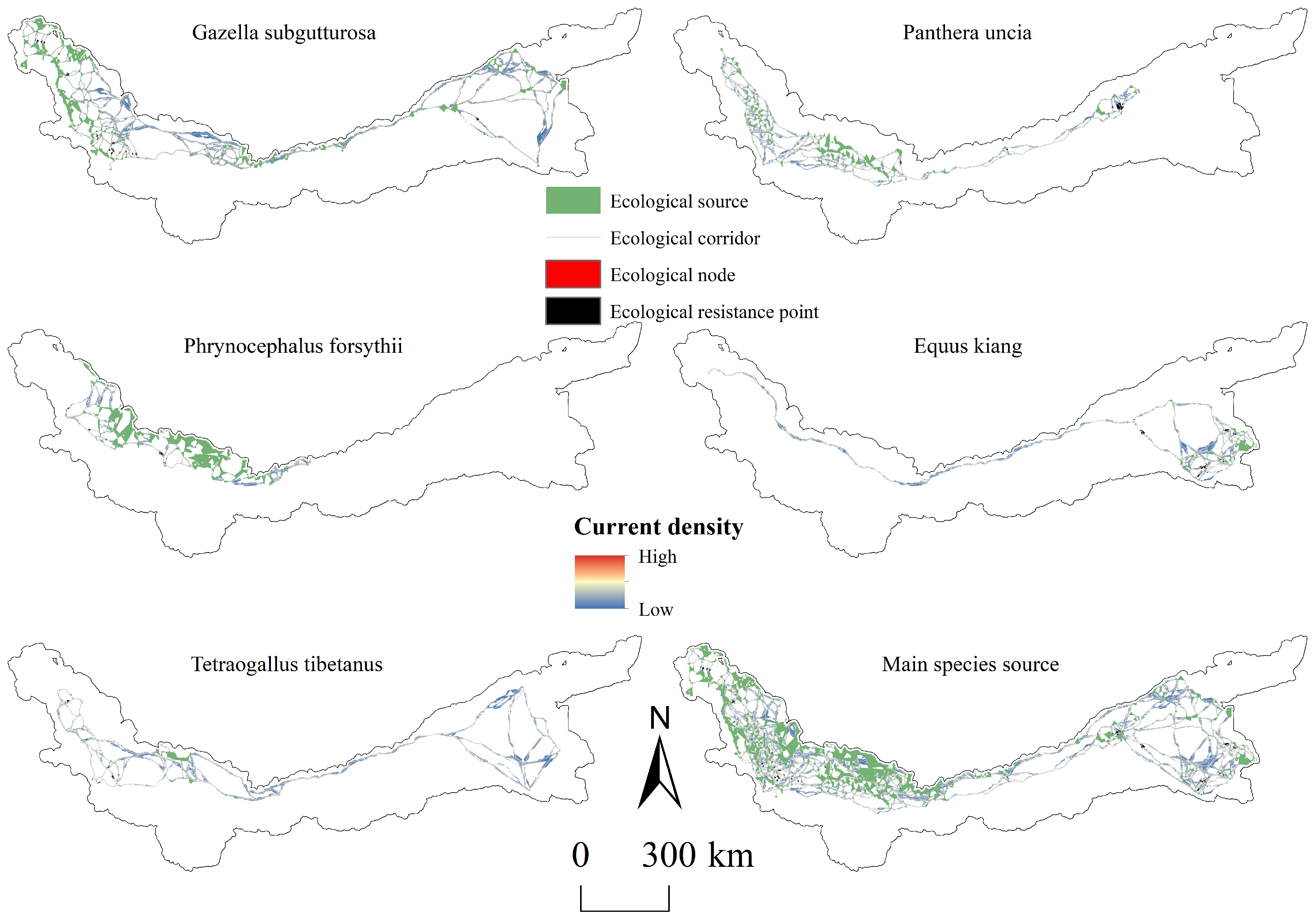 Diversity 16 00779 g011