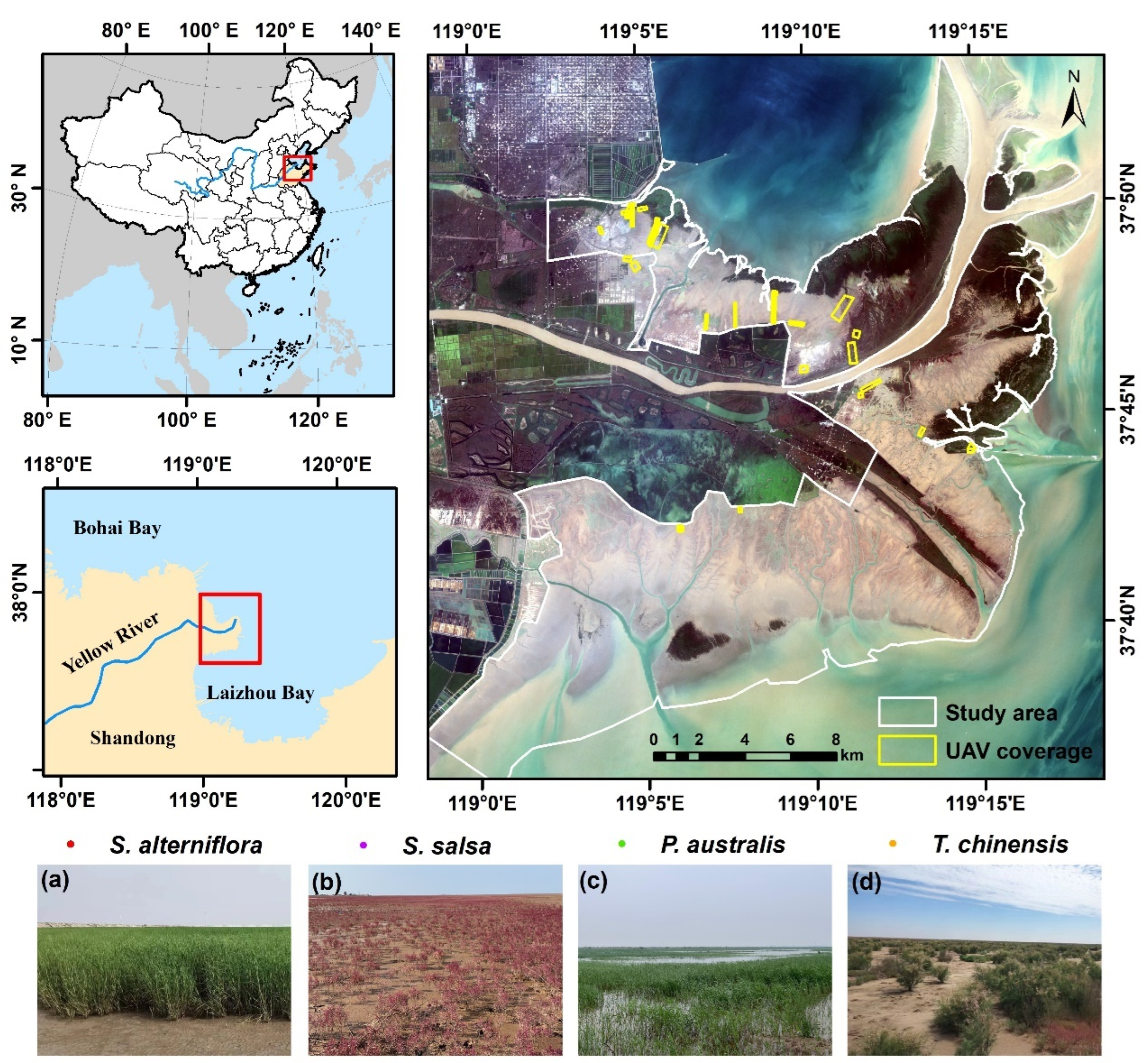 Diversity 17 00003 g001