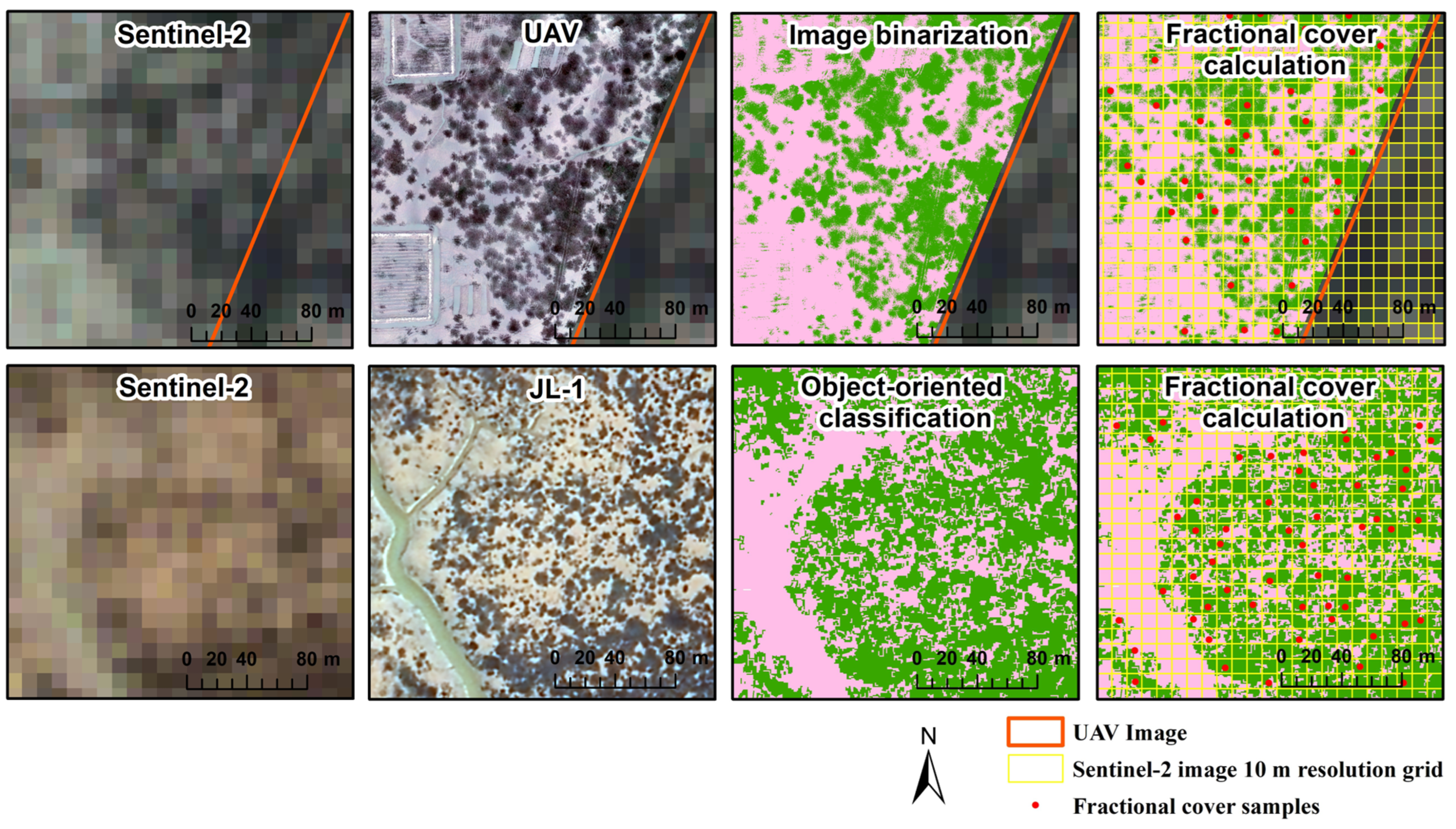 Diversity 17 00003 g004