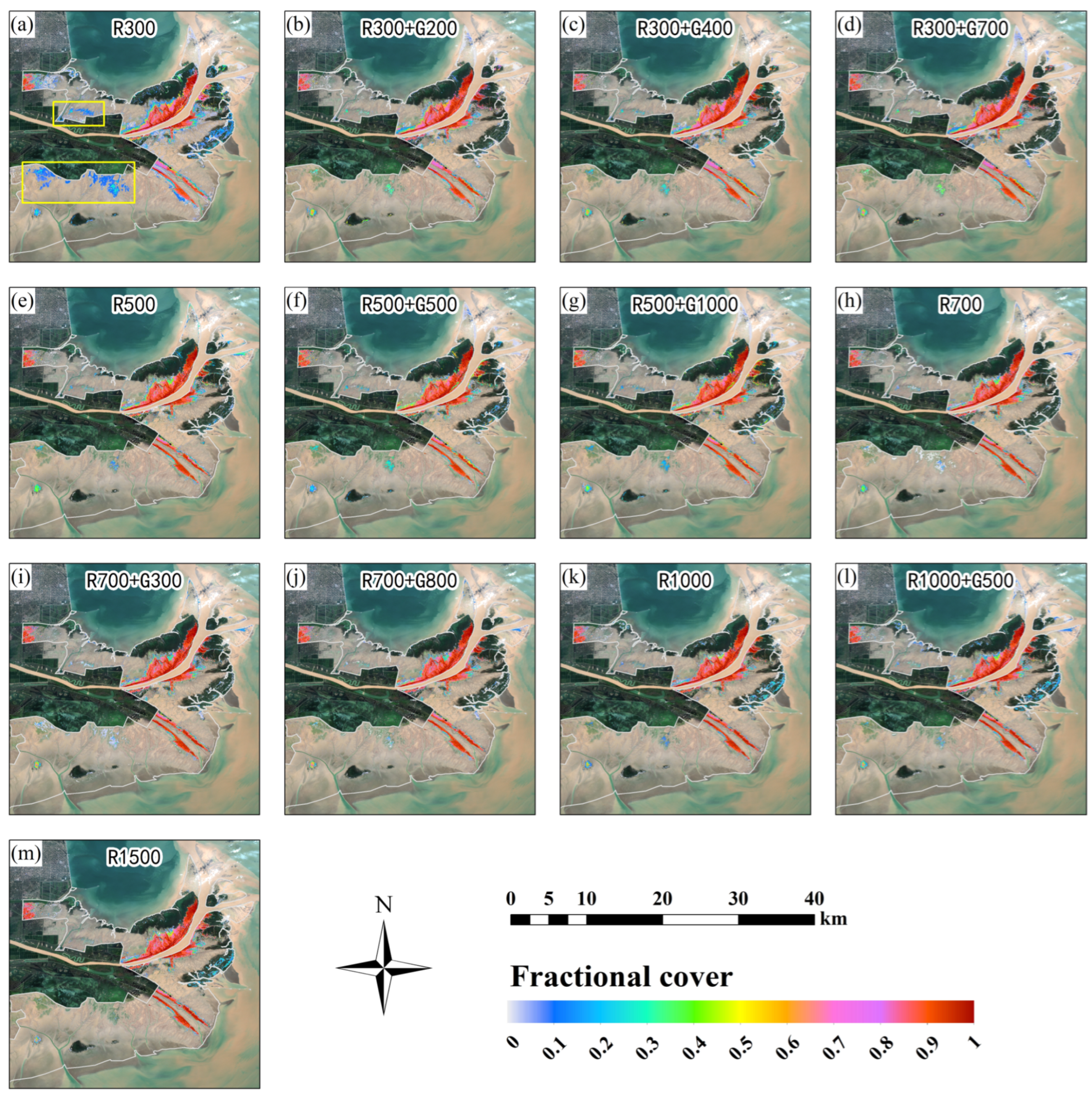 Diversity 17 00003 g011