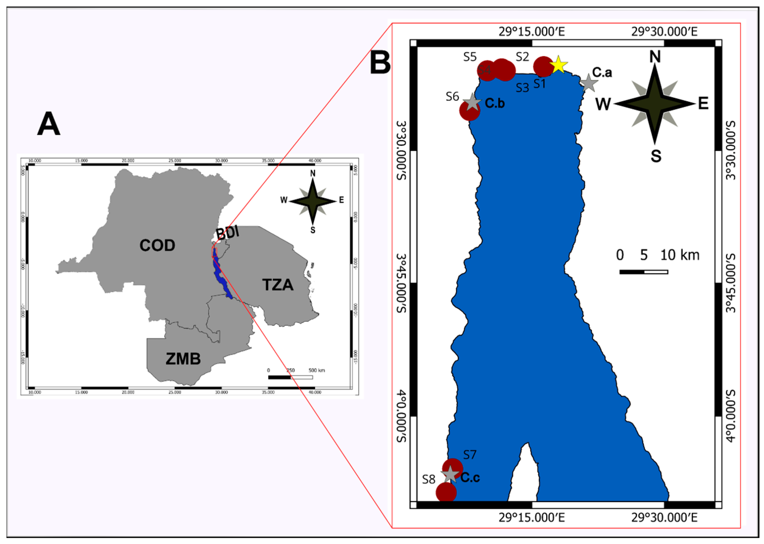 洋書　タンガニーカ　バス　Tanganyika Buntbarsche２ 洋書 タンガニーカ バス Tanganyika Buntbarsche2 Tanzania