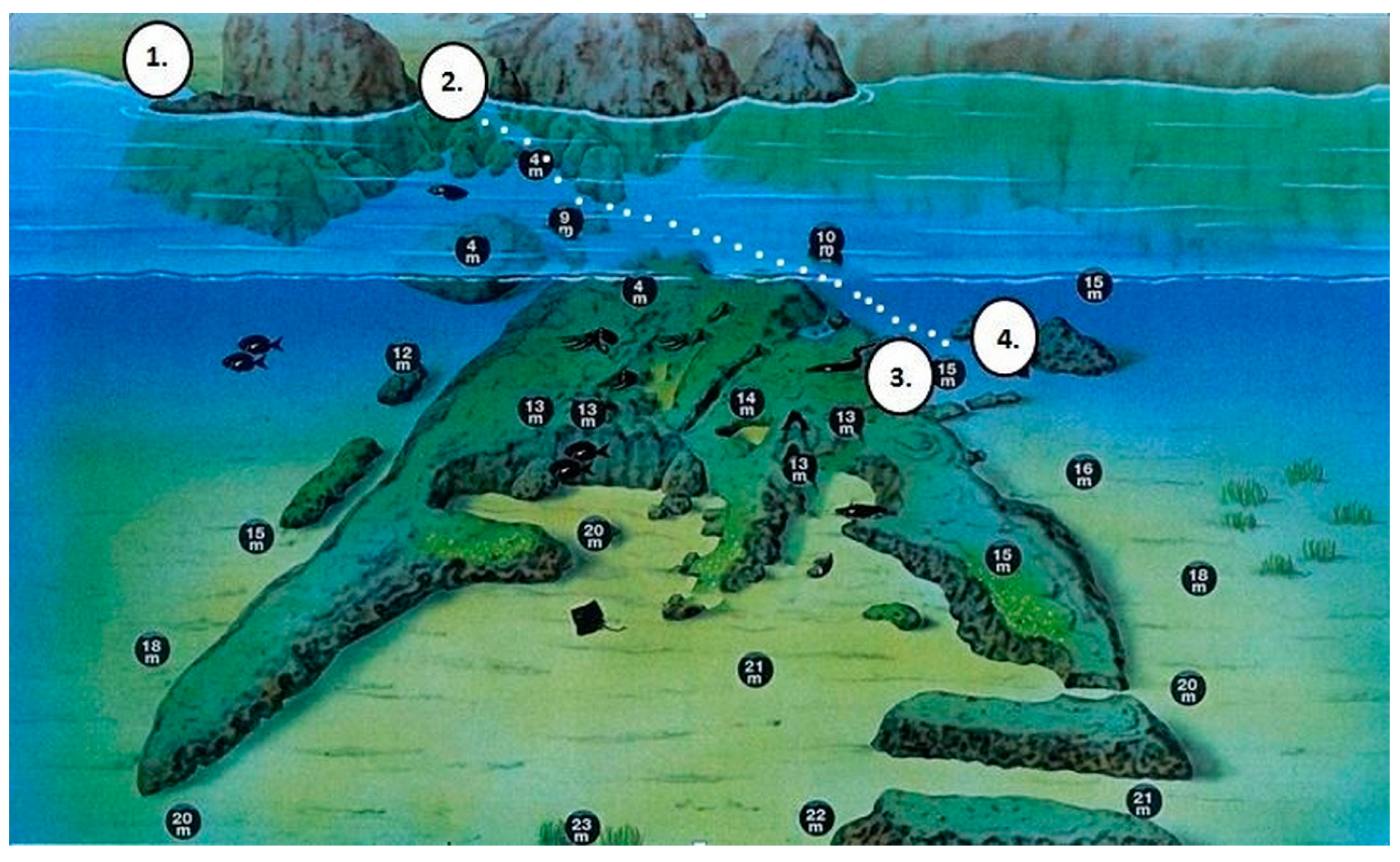 Diversity 17 00009 g002 Diversity 17 00009 g002