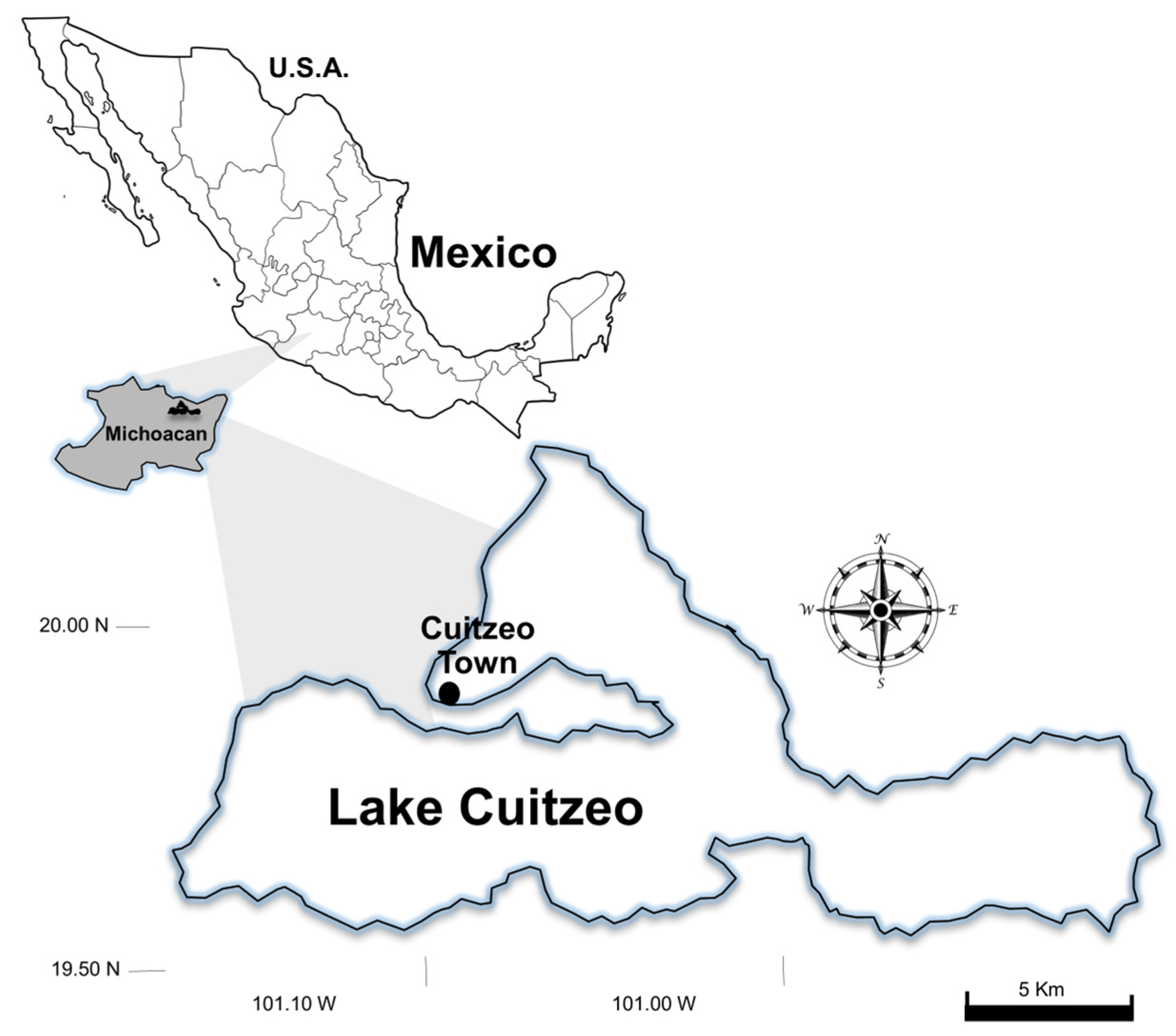 Diversity 17 00011 g001