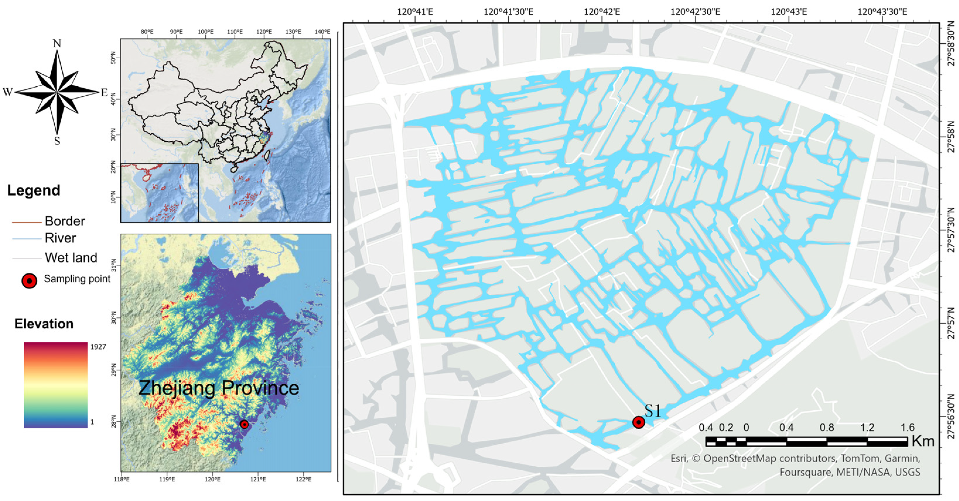 Diversity 17 00015 g001