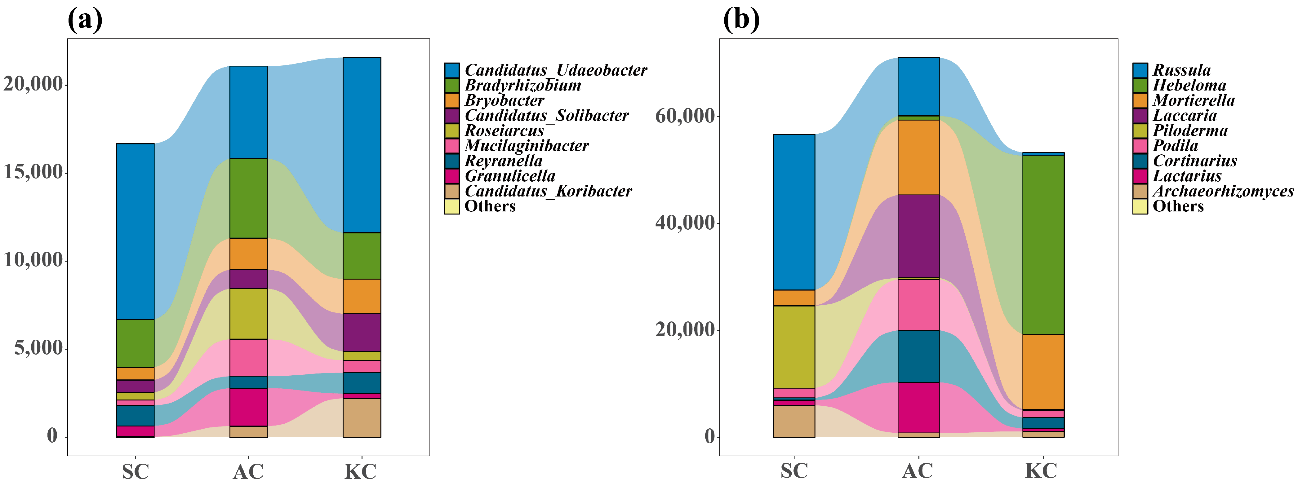 Diversity 17 00021 g003