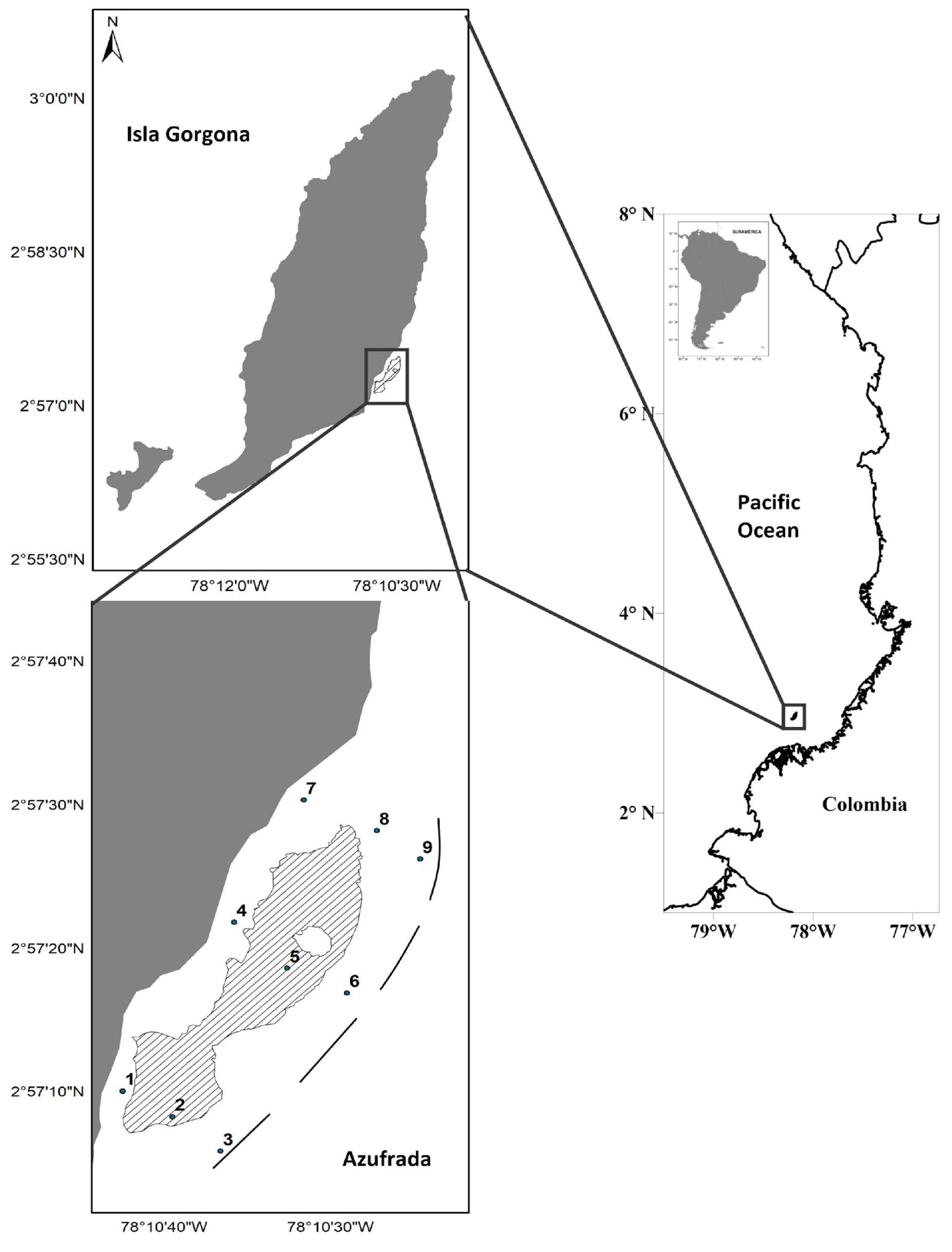 Diversity 17 00023 g001