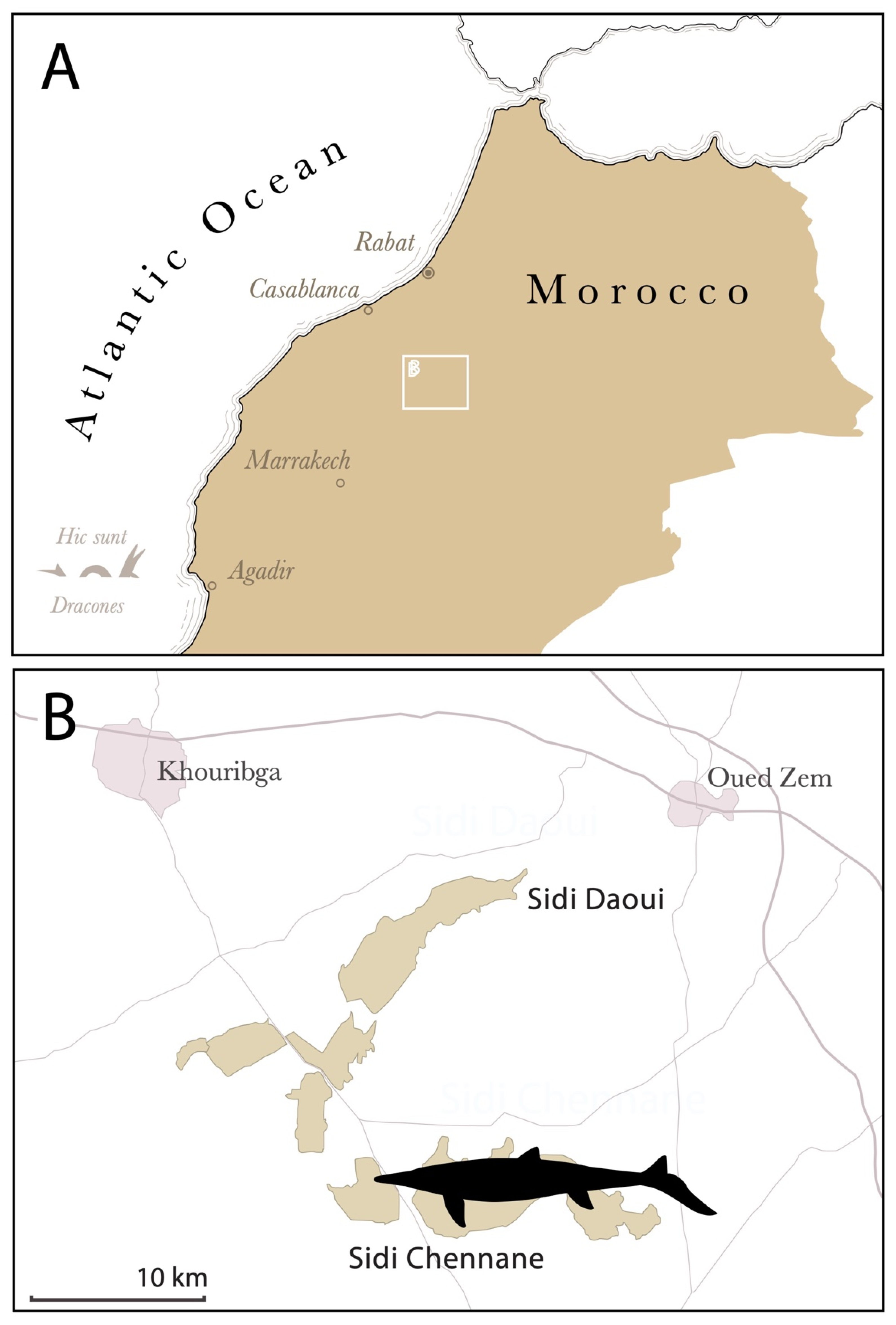 Diversity 17 00025 g001 Diversity 17 00025 g001