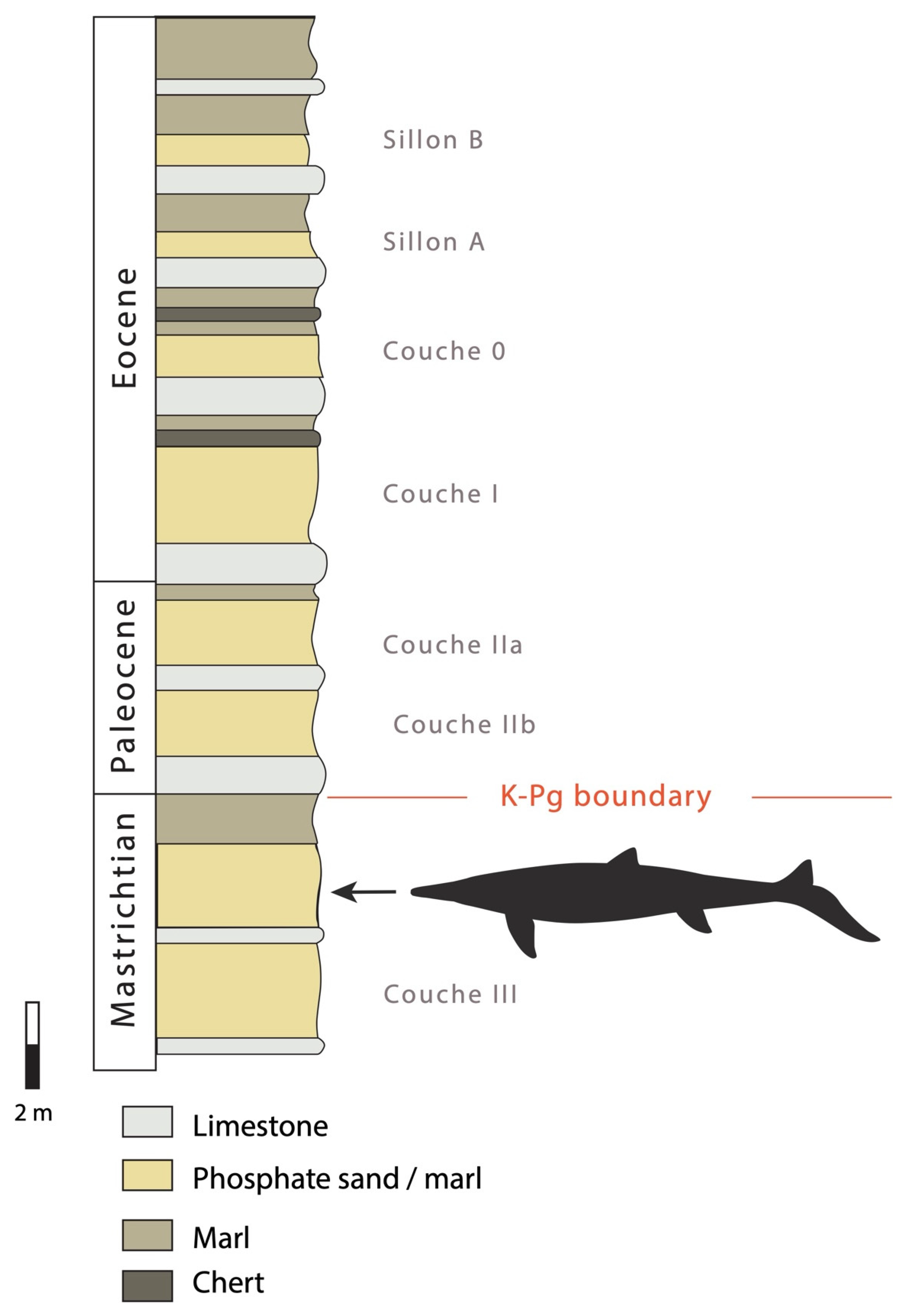 Diversity 17 00025 g002 Diversity 17 00025 g002