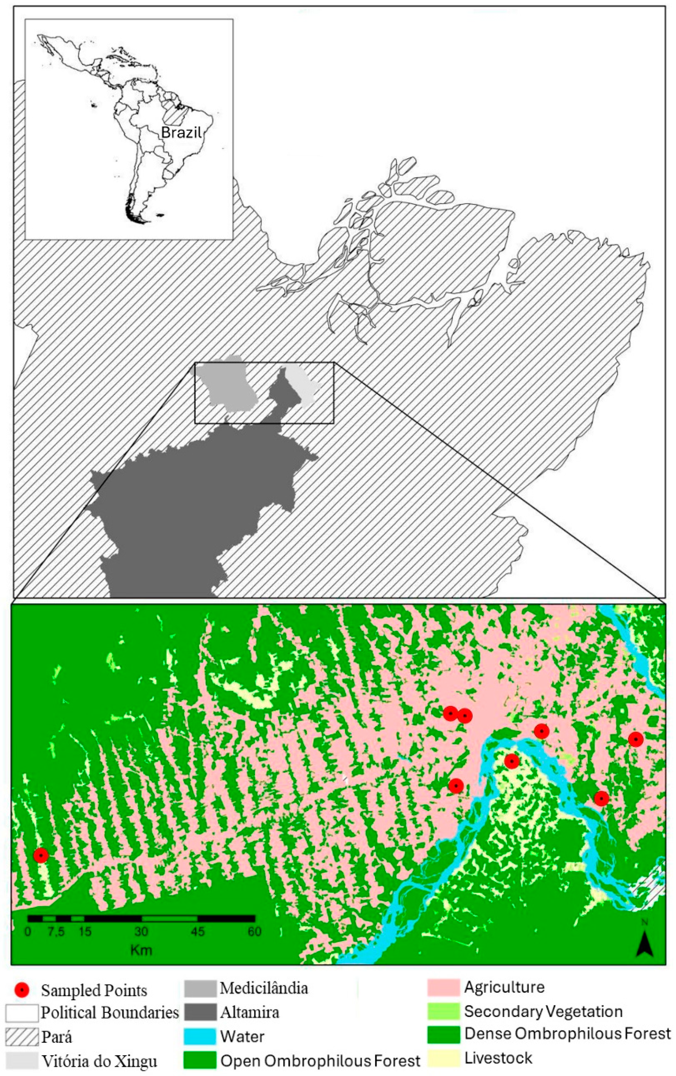 Diversity 17 00031 g001