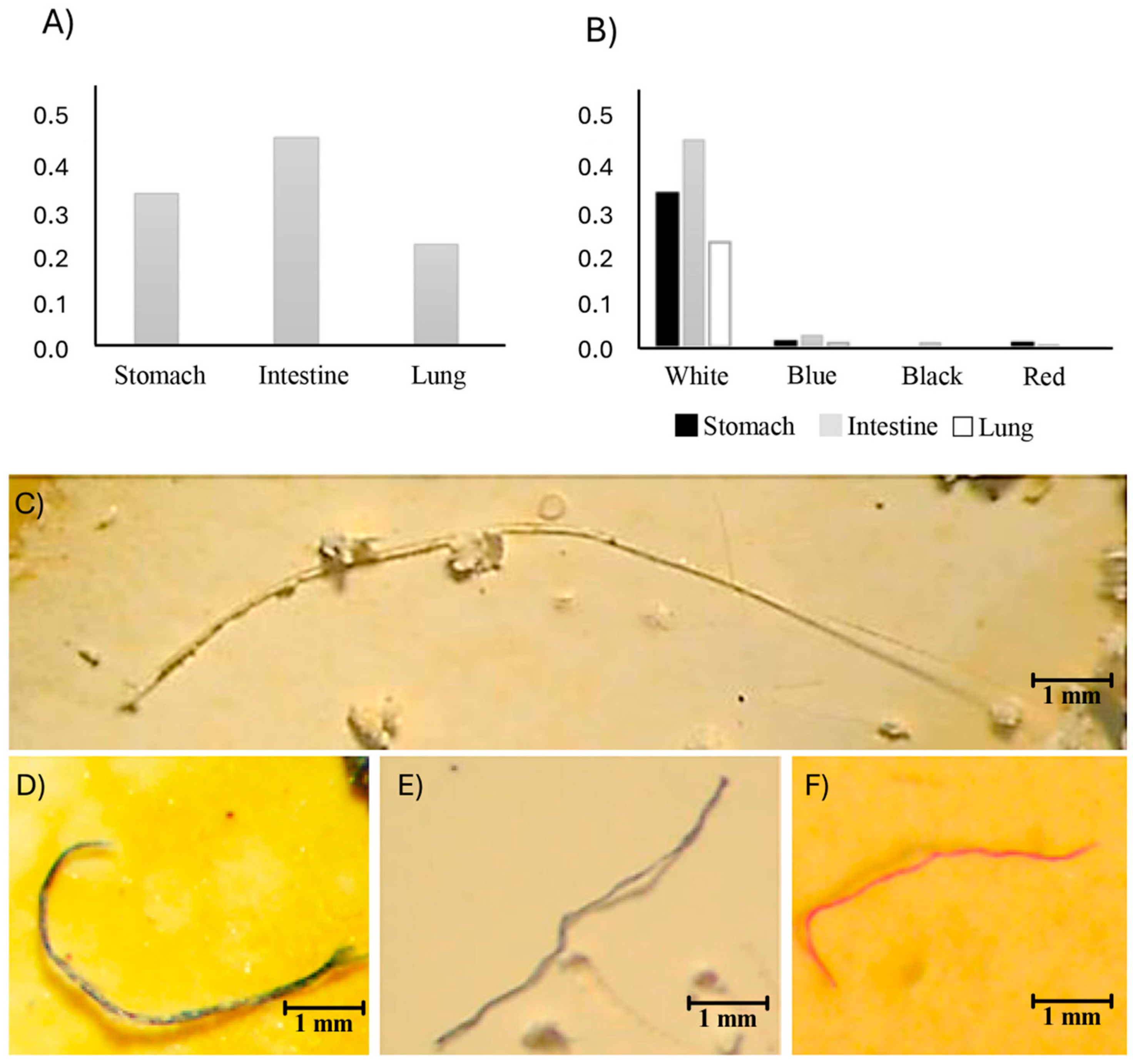 Diversity 17 00031 g002