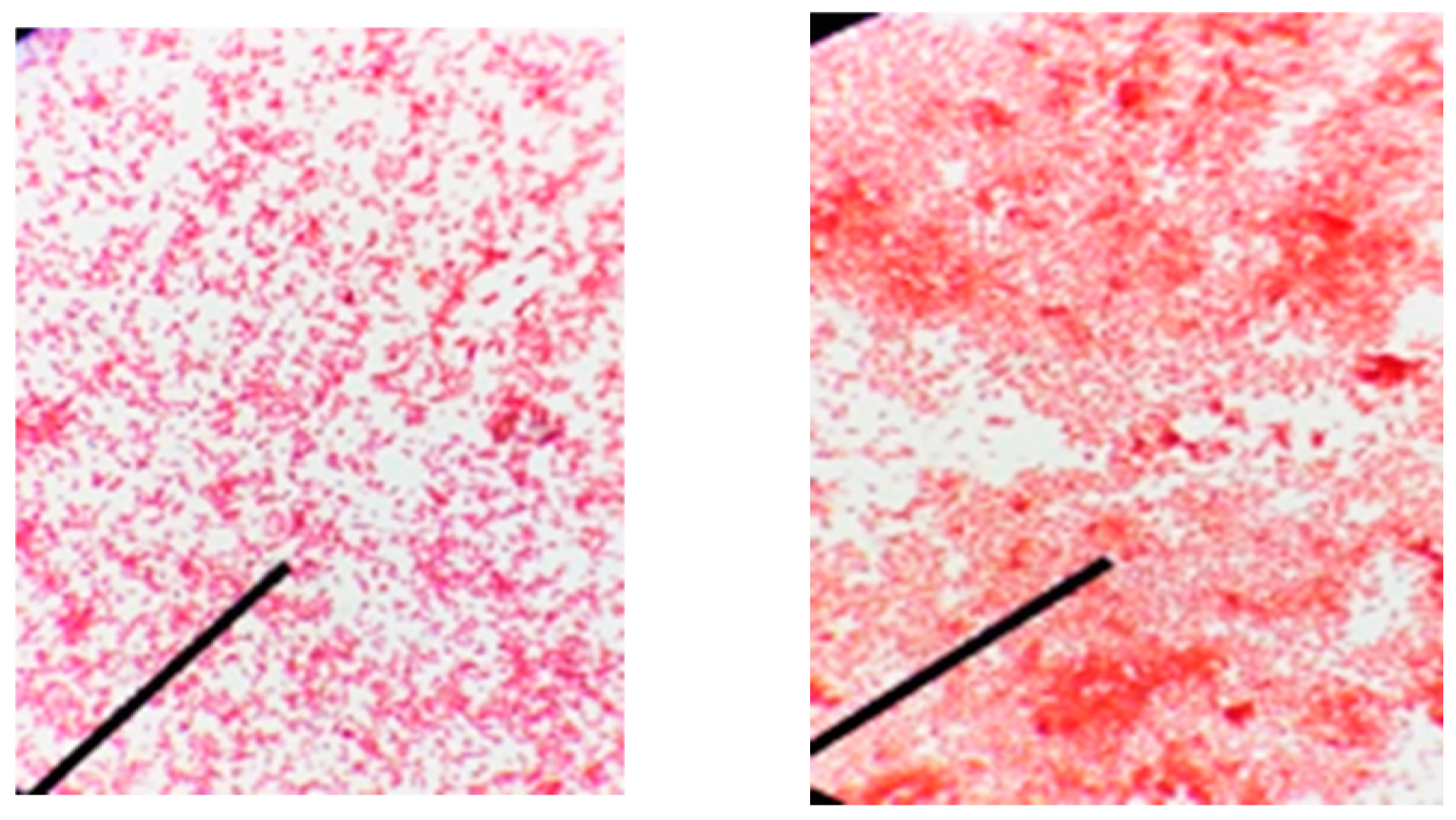 Diversity 17 00037 g002