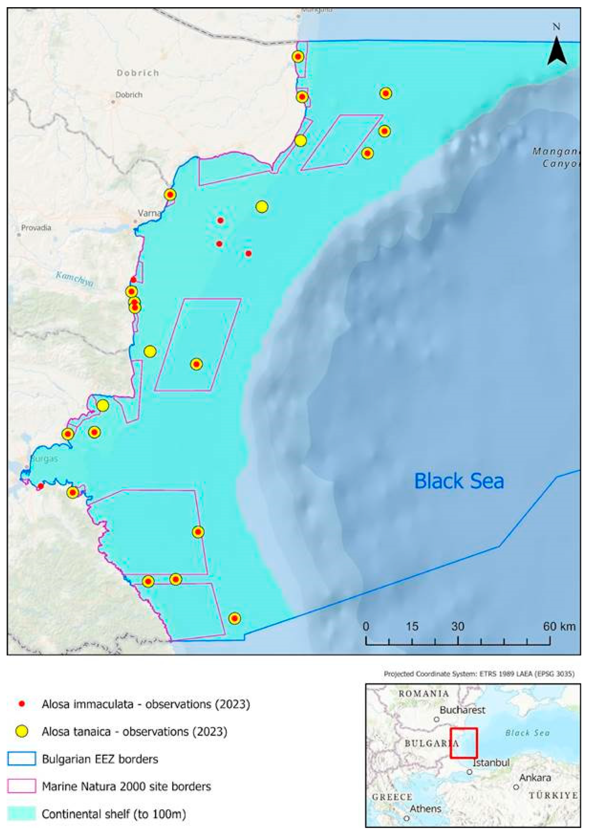 Diversity 17 00038 g002 Diversity 17 00038 g002