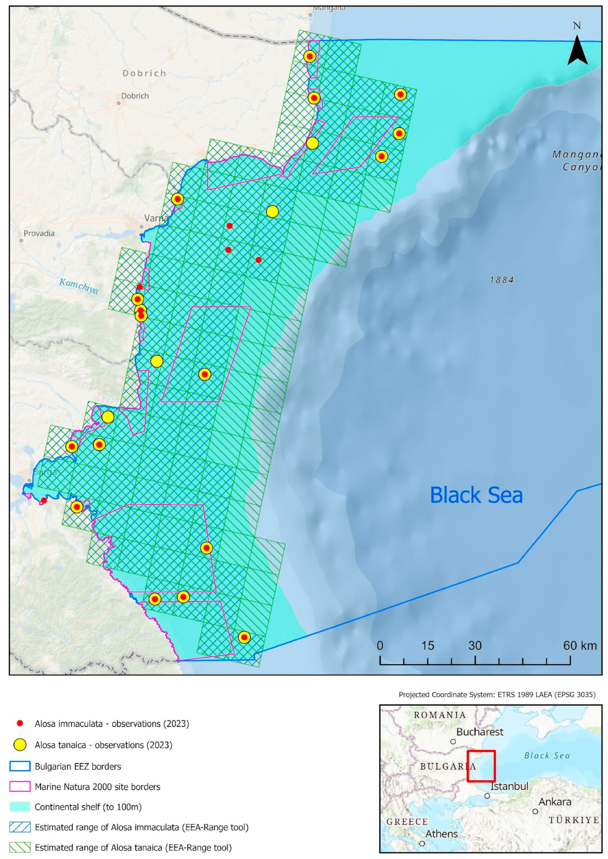 Diversity 17 00038 g003 Diversity 17 00038 g003
